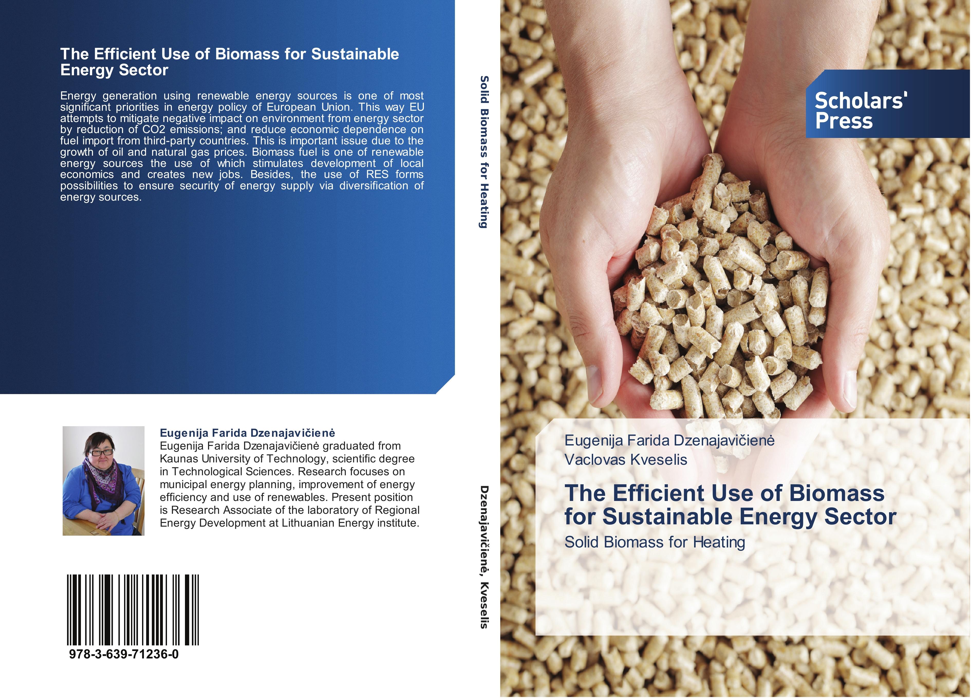 Vorderes Coverbild The Efficient Use of Biomass for Sustainable Energy Sector