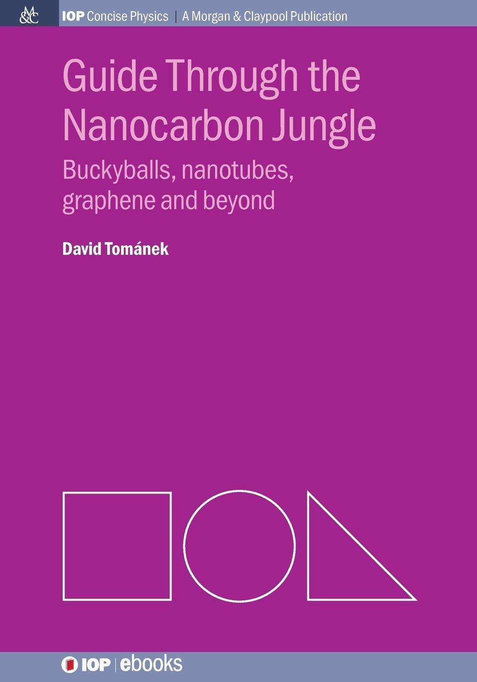 Vorderes Coverbild Guide Through the Nanocarbon Jungle