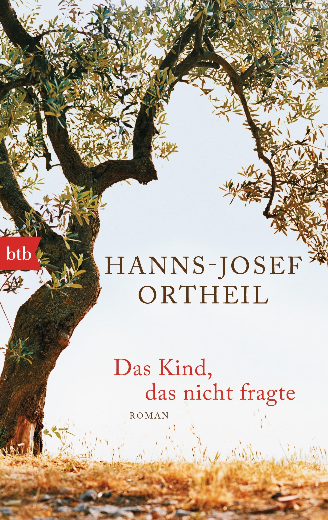Vorderes Coverbild Das Kind, das nicht fragte