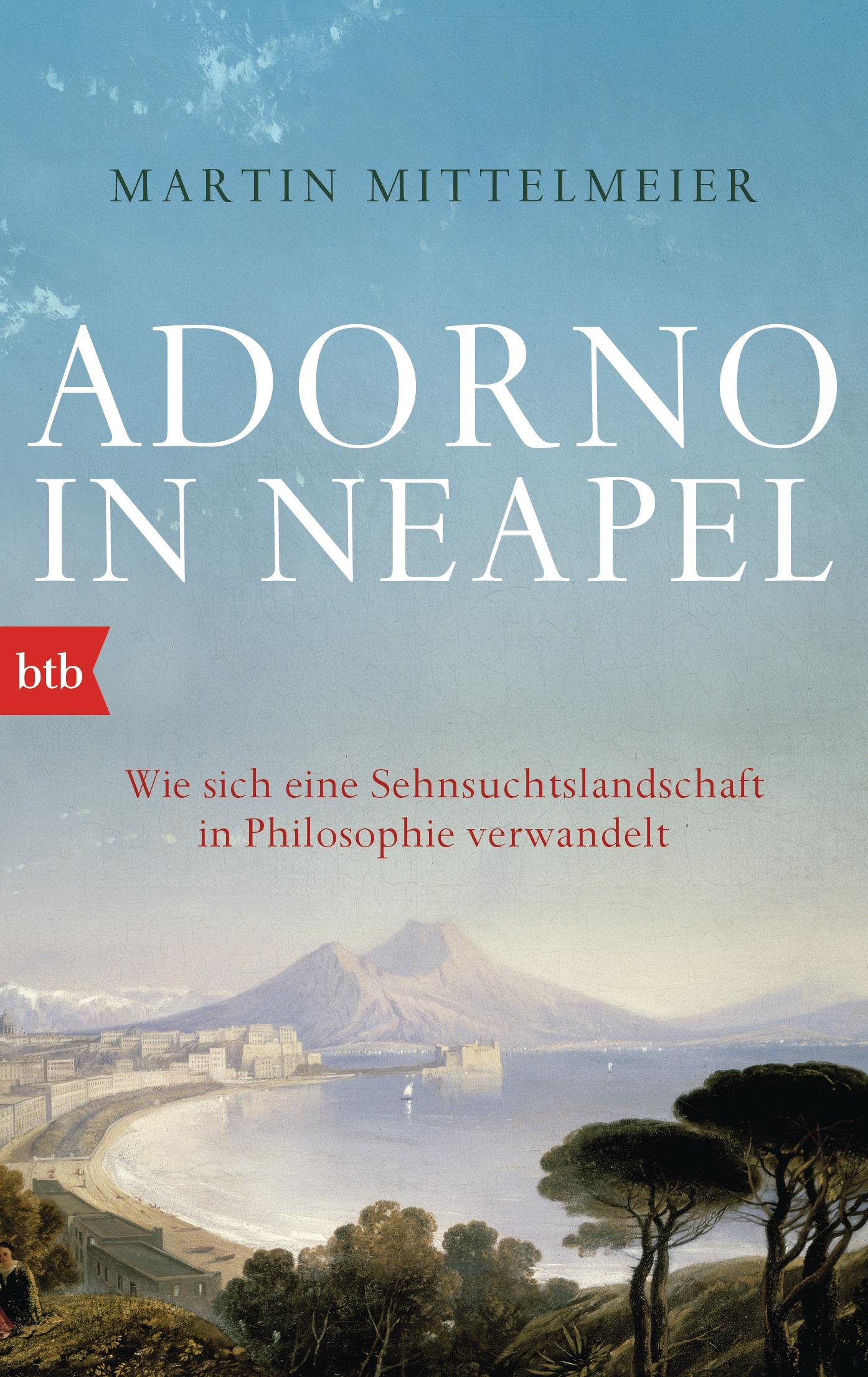 Vorderes Coverbild Adorno in Neapel