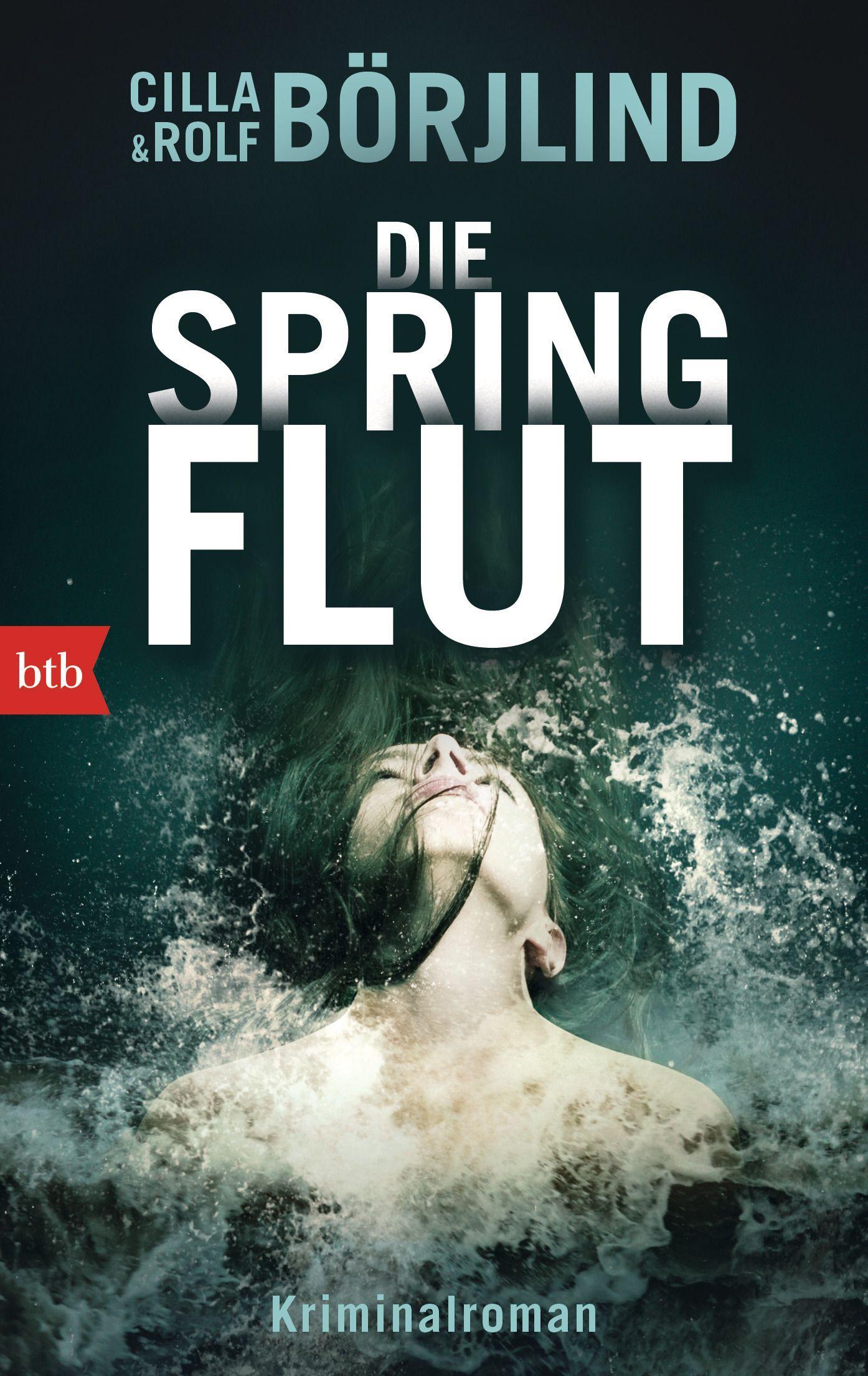 Vorderes Coverbild Die Springflut