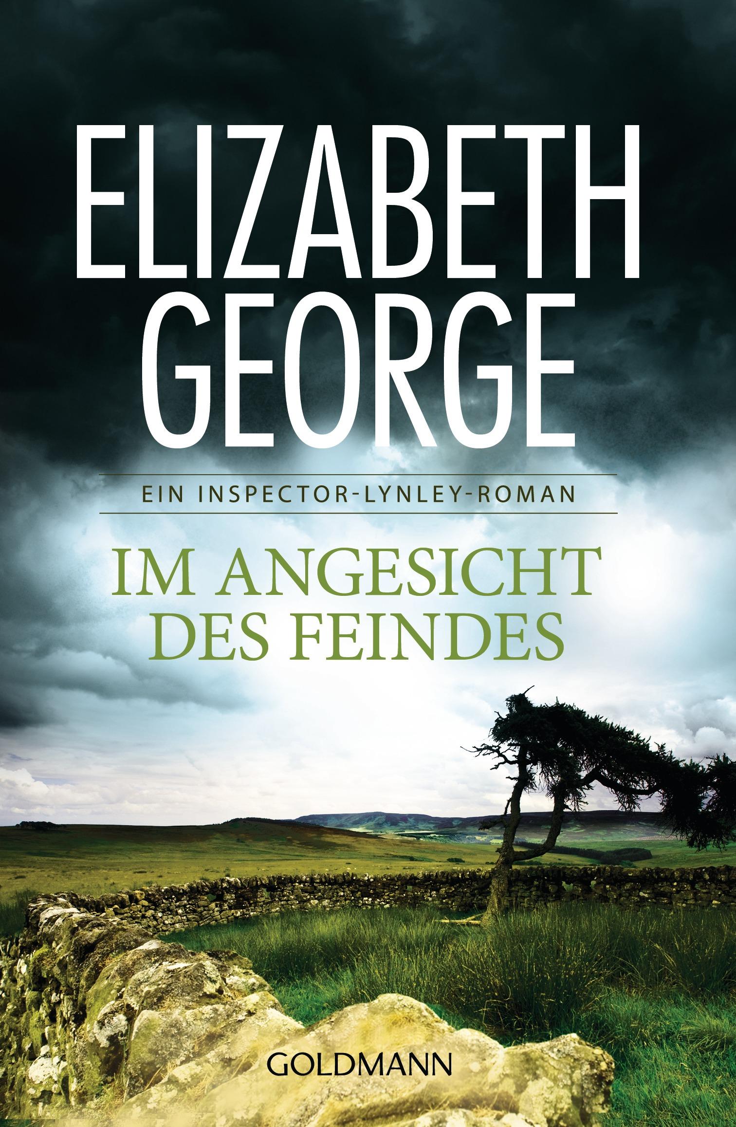Vorderes Coverbild Im Angesicht des Feindes
