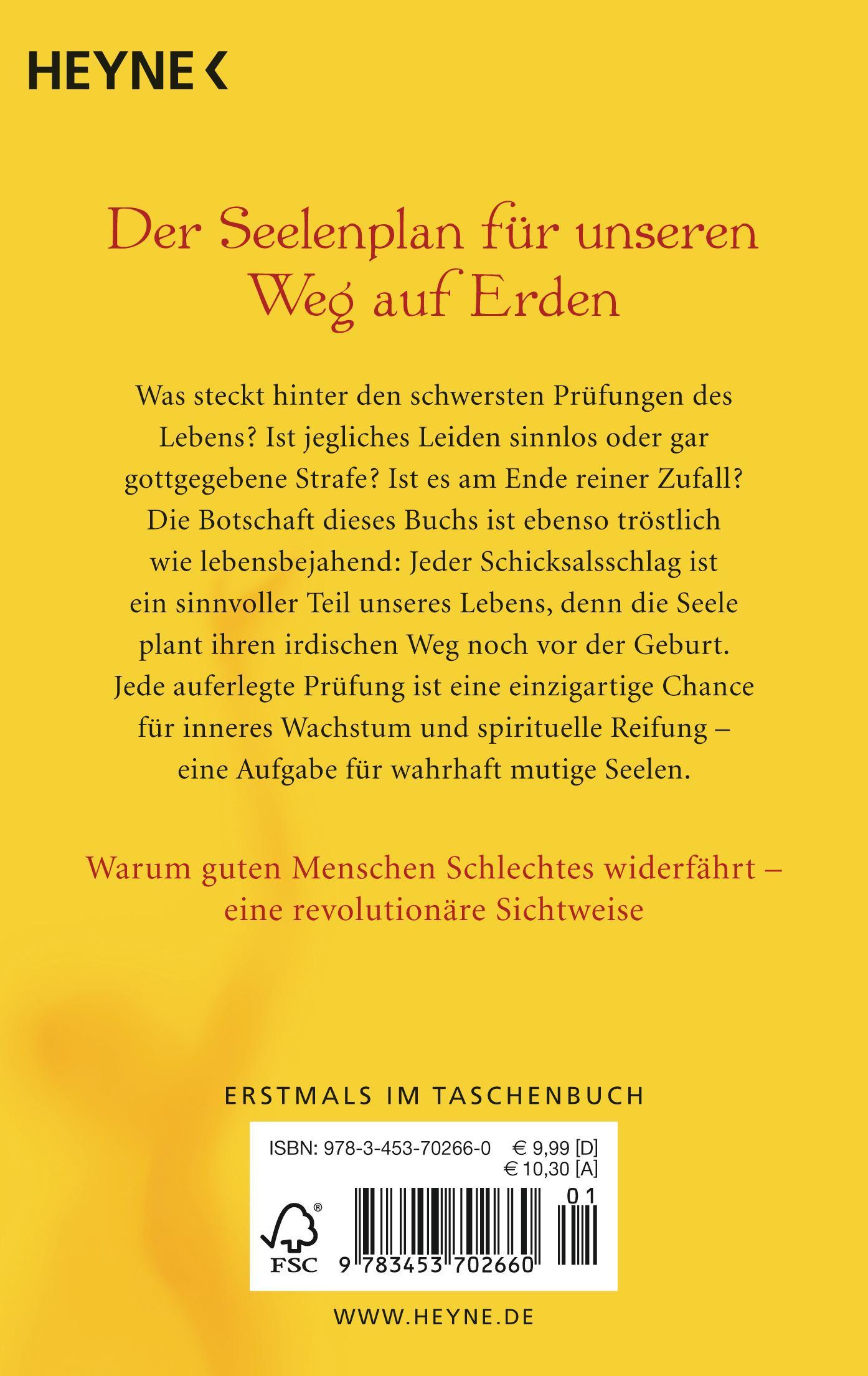 Rückseitencover Mutige Seelen