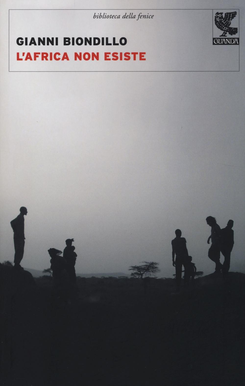 Vorderes Coverbild L' Africa non esiste