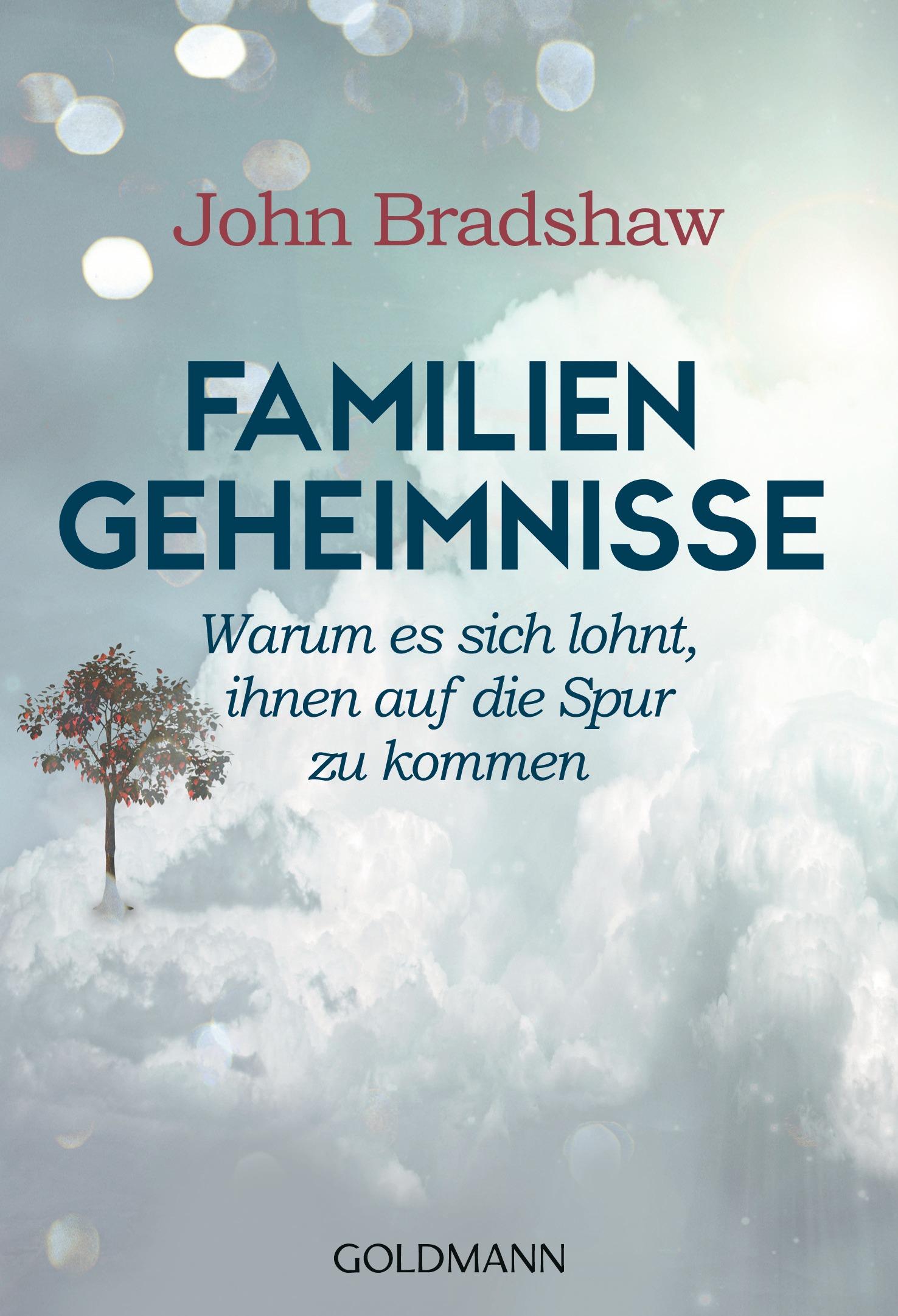 Vorderes Coverbild Familiengeheimnisse