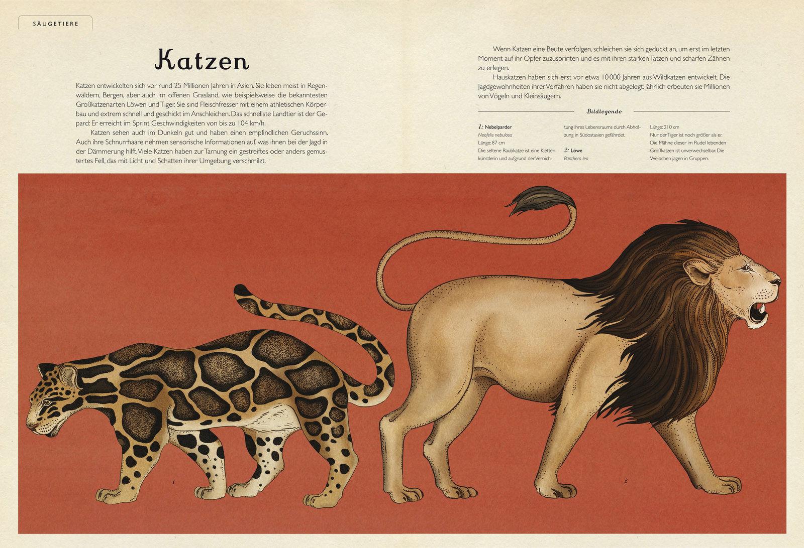 Beispielinhalt (Bild) Das Museum der Tiere