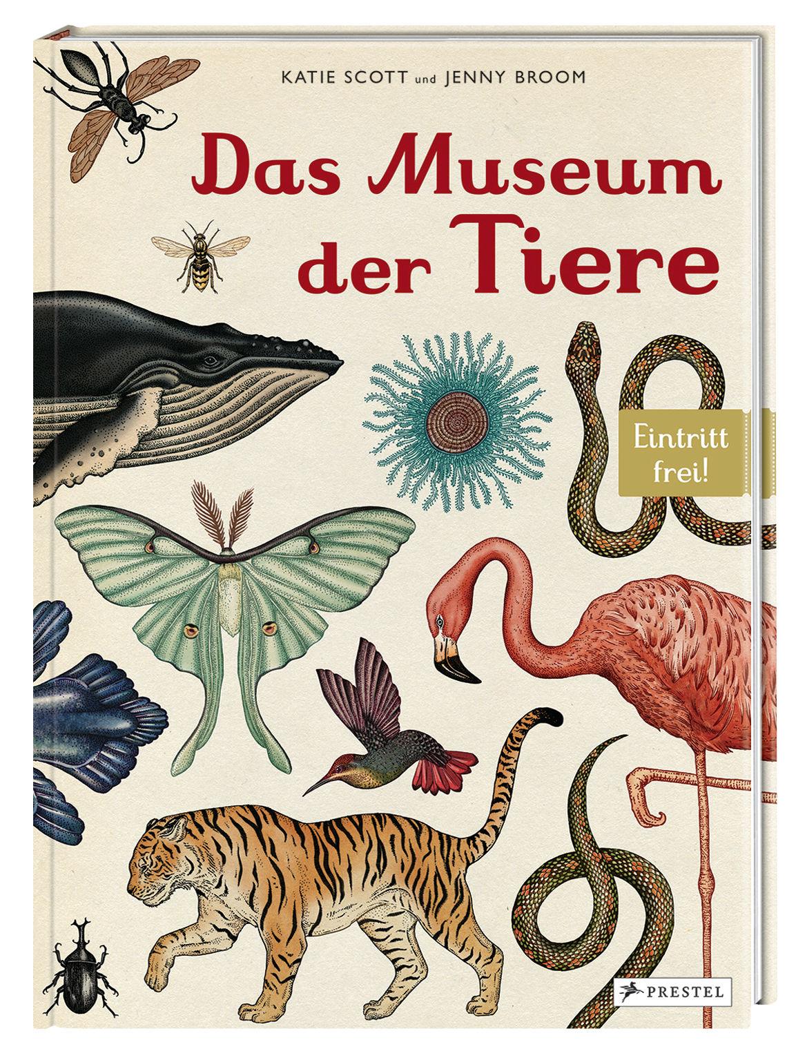 Beispielinhalt (Bild) Das Museum der Tiere