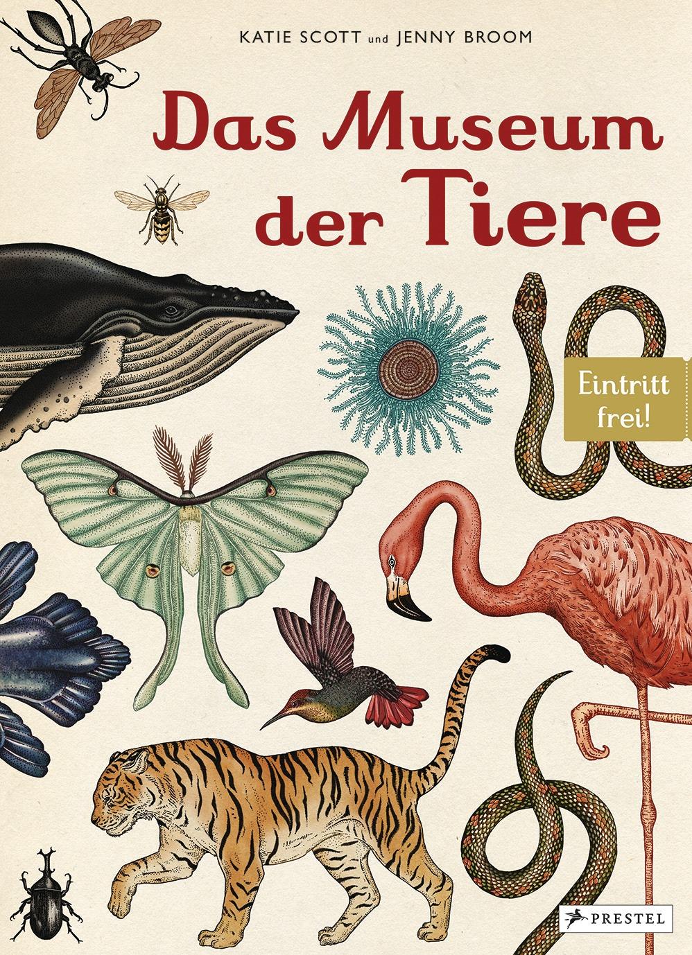 Vorderes Coverbild Das Museum der Tiere