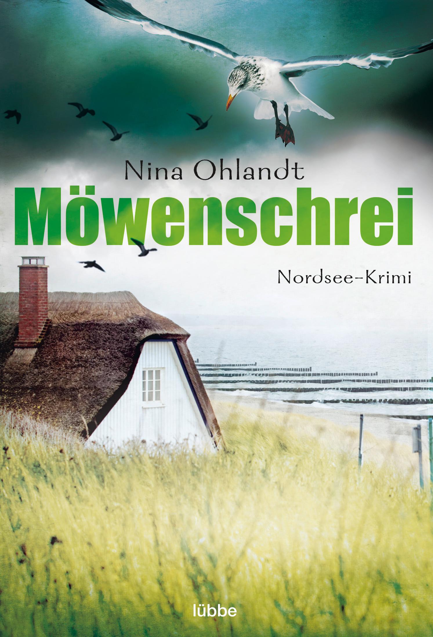 Vorderes Coverbild Möwenschrei