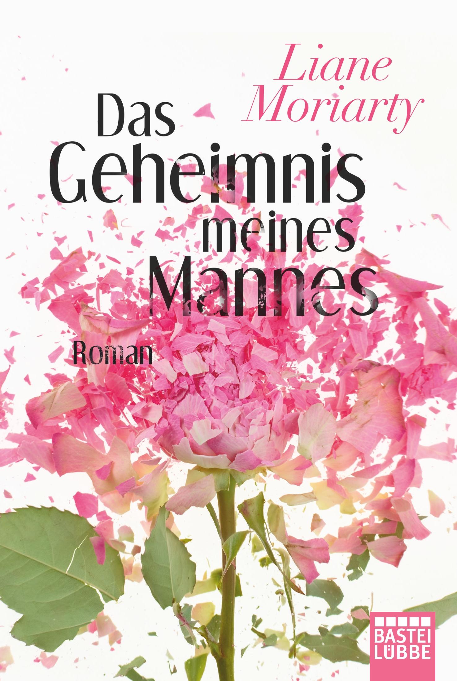 Vorderes Coverbild Das Geheimnis meines Mannes