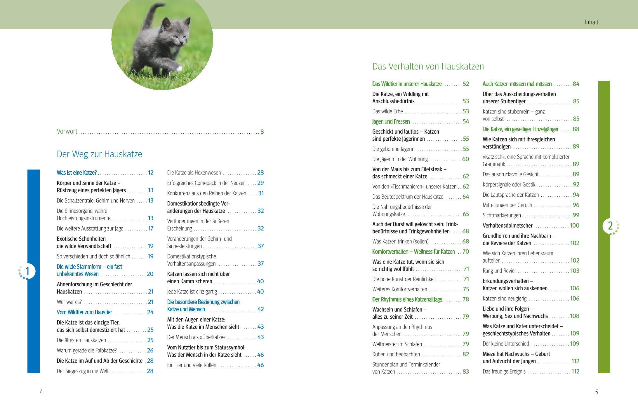 Beispielinhalt (Bild) Was Katzen wirklich wollen
