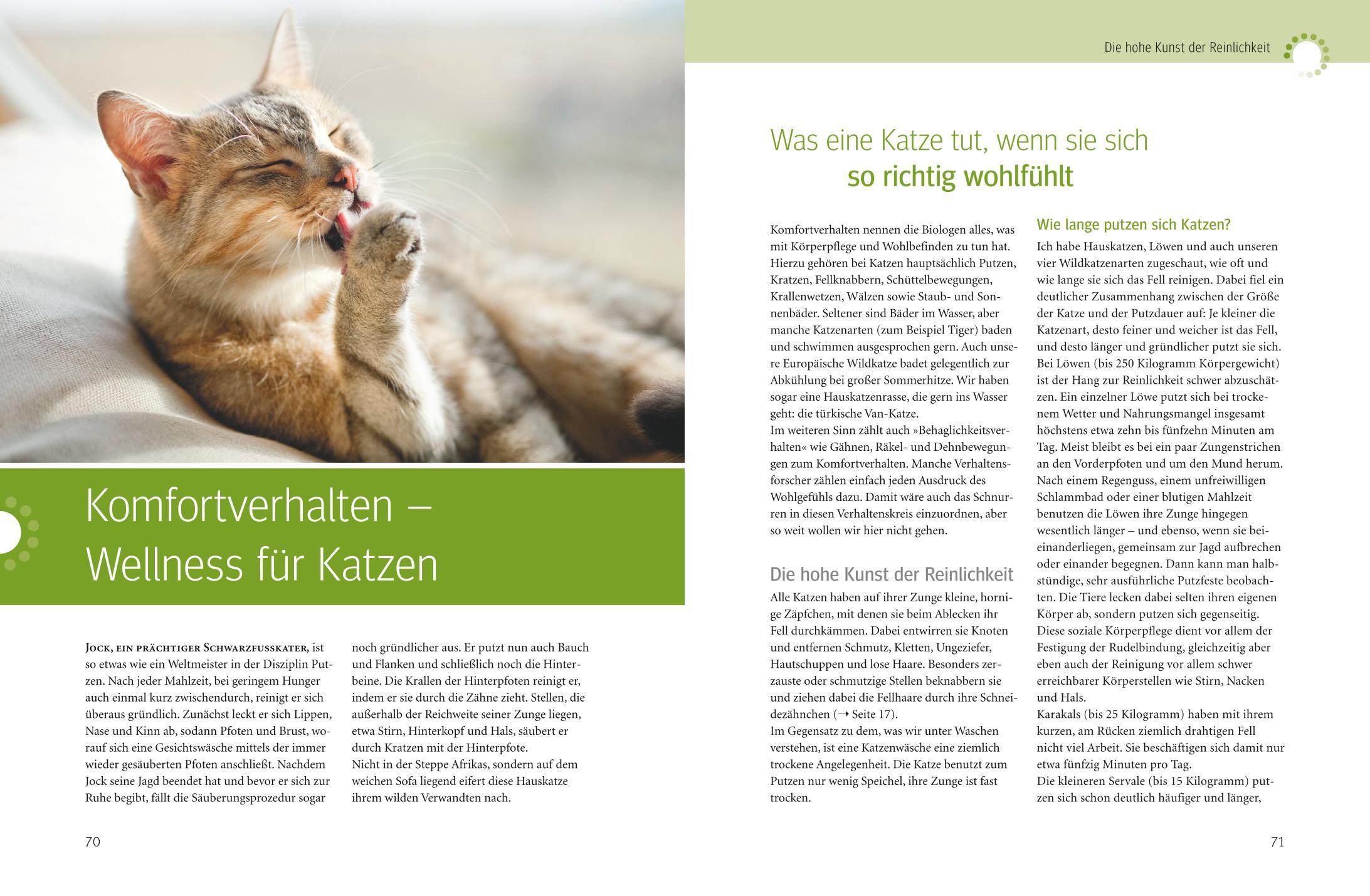 Beispielinhalt (Bild) Was Katzen wirklich wollen