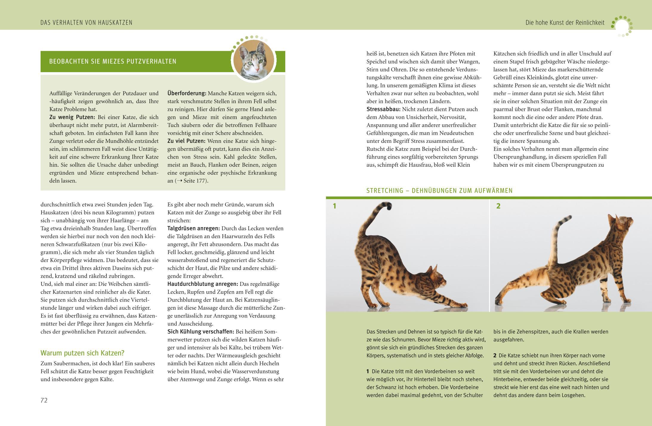 Beispielinhalt (Bild) Was Katzen wirklich wollen