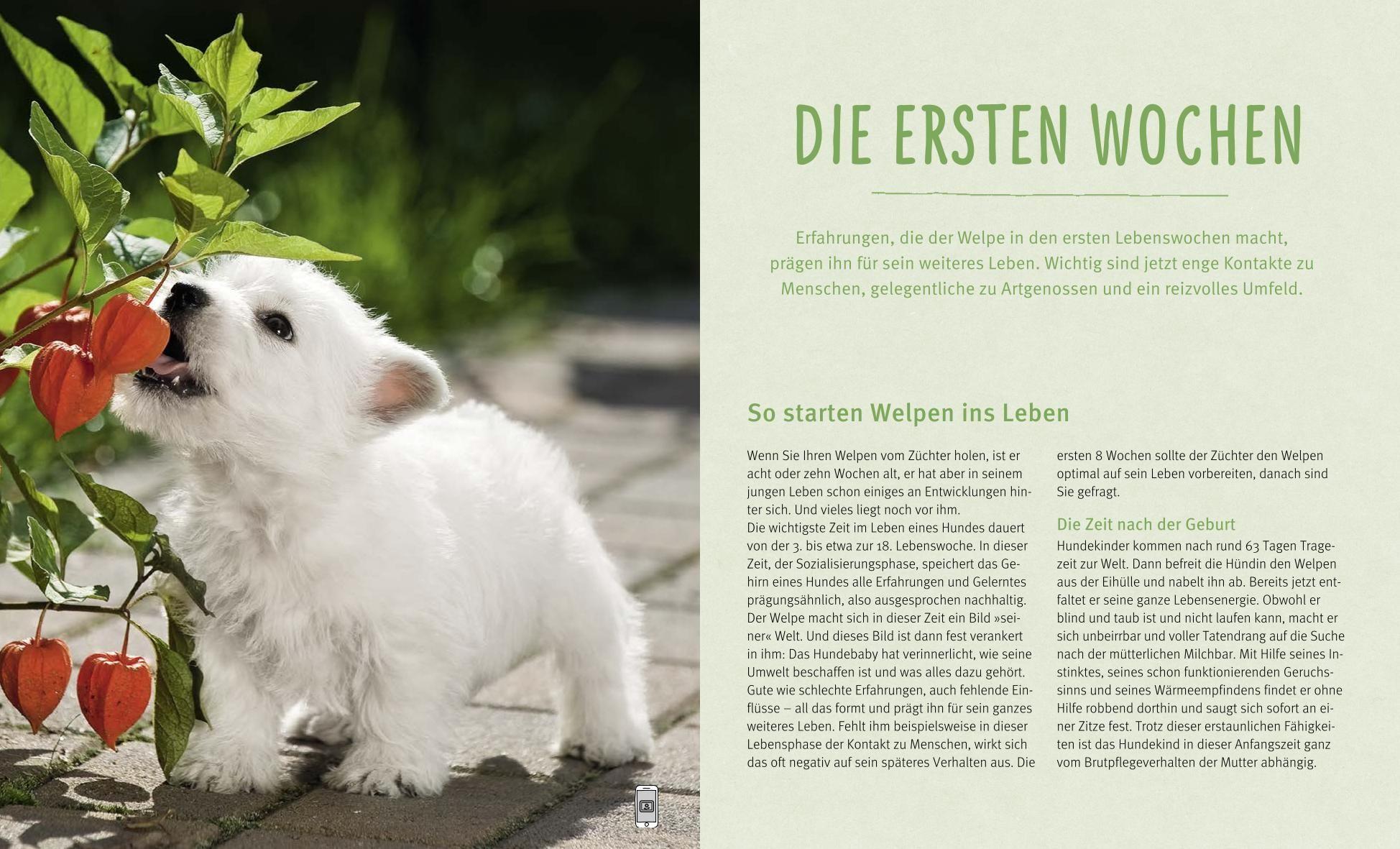 Beispielinhalt (Bild) Unser Welpe