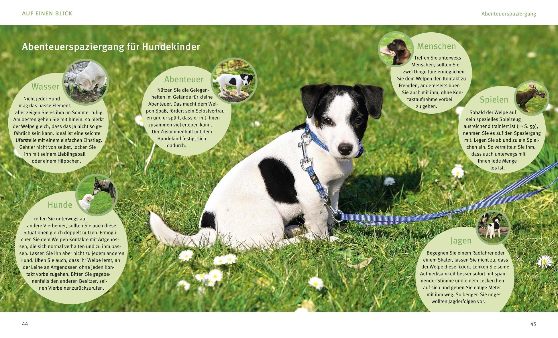 Beispielinhalt (Bild) Unser Welpe