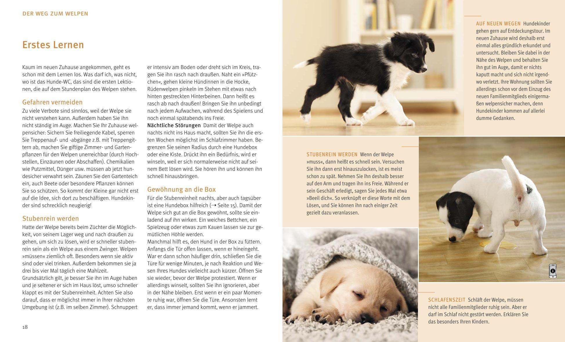 Beispielinhalt (Bild) Unser Welpe