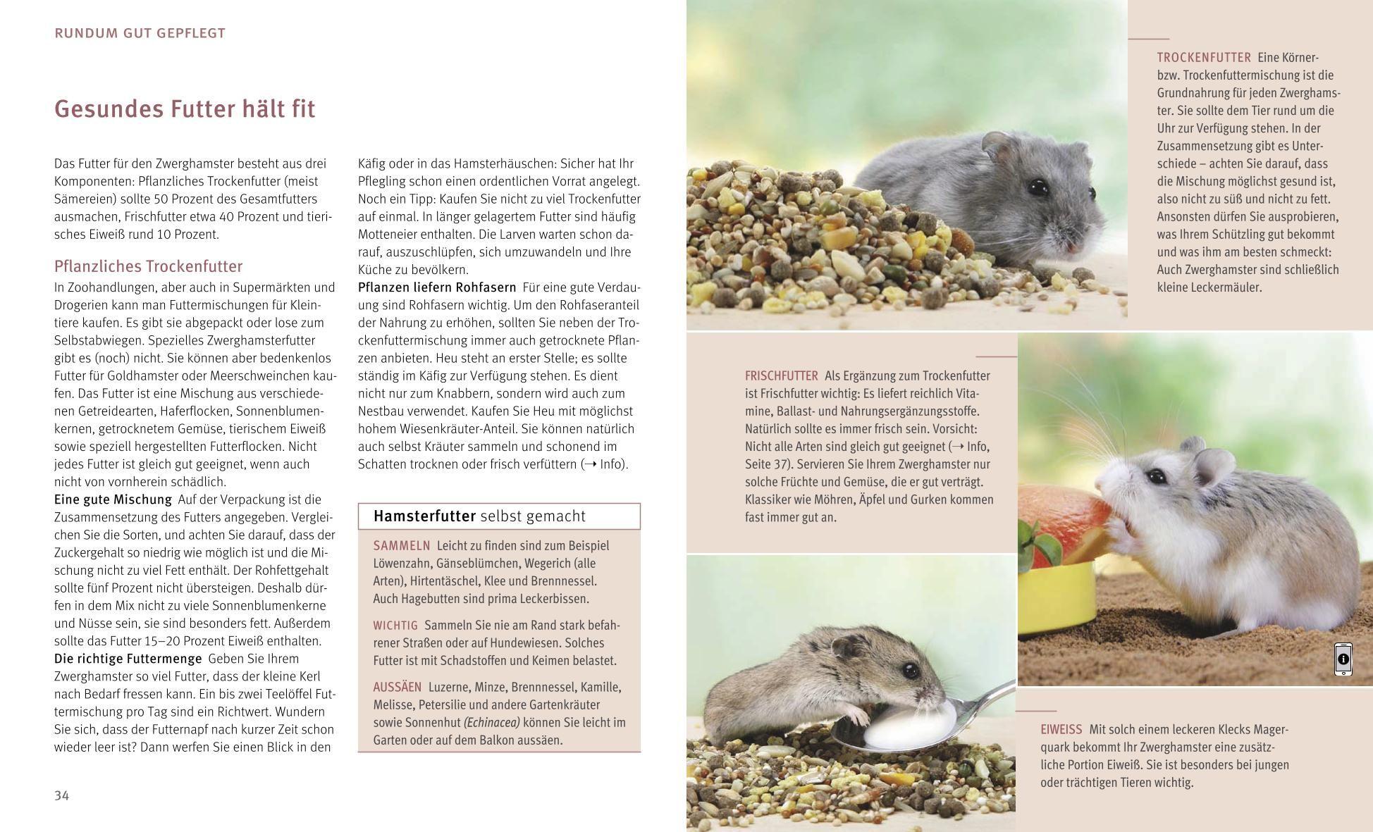 Beispielinhalt (Bild) Zwerghamster