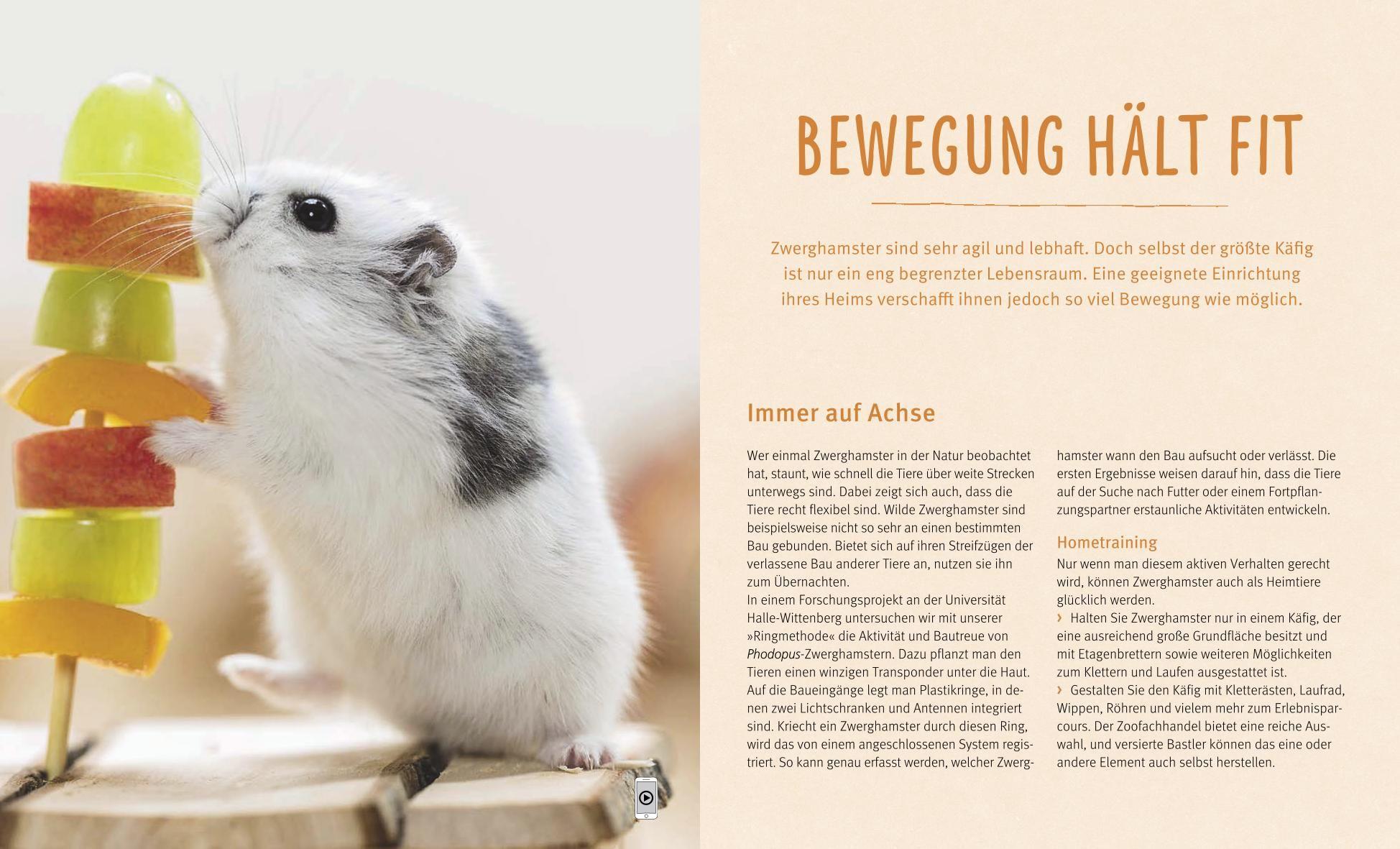 Beispielinhalt (Bild) Zwerghamster