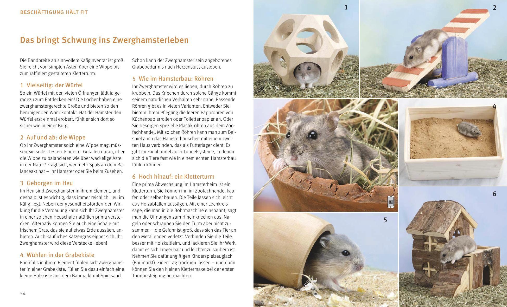 Beispielinhalt (Bild) Zwerghamster
