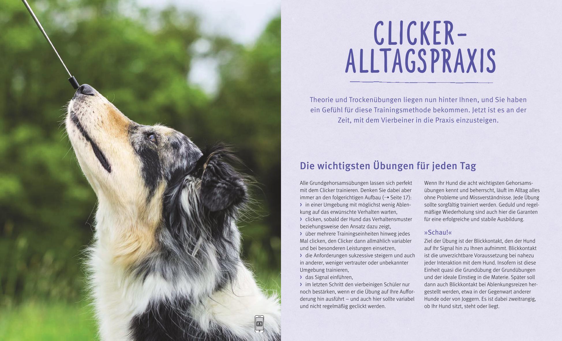 Beispielinhalt (Bild) Hunde-Clickertraining
