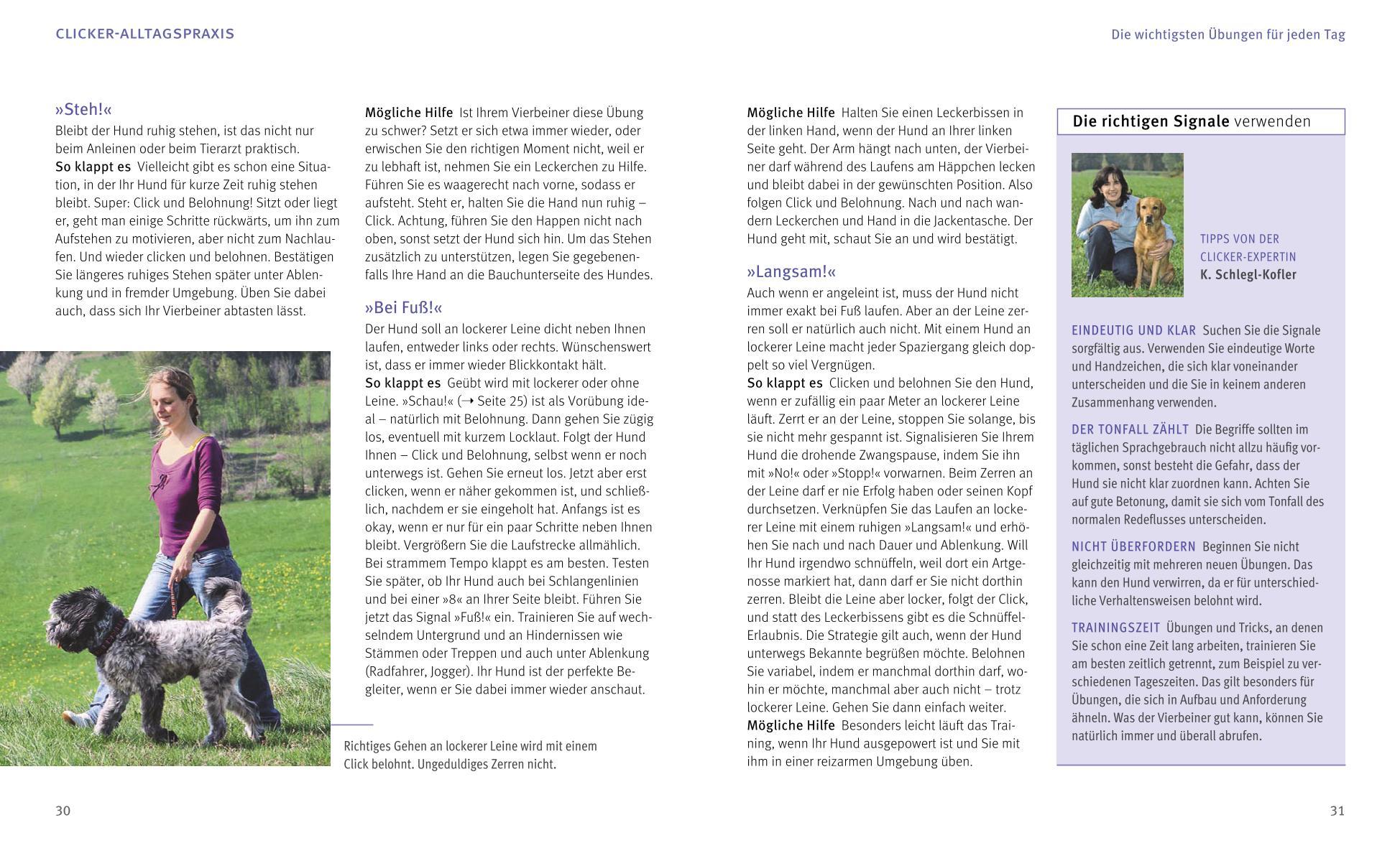 Beispielinhalt (Bild) Hunde-Clickertraining