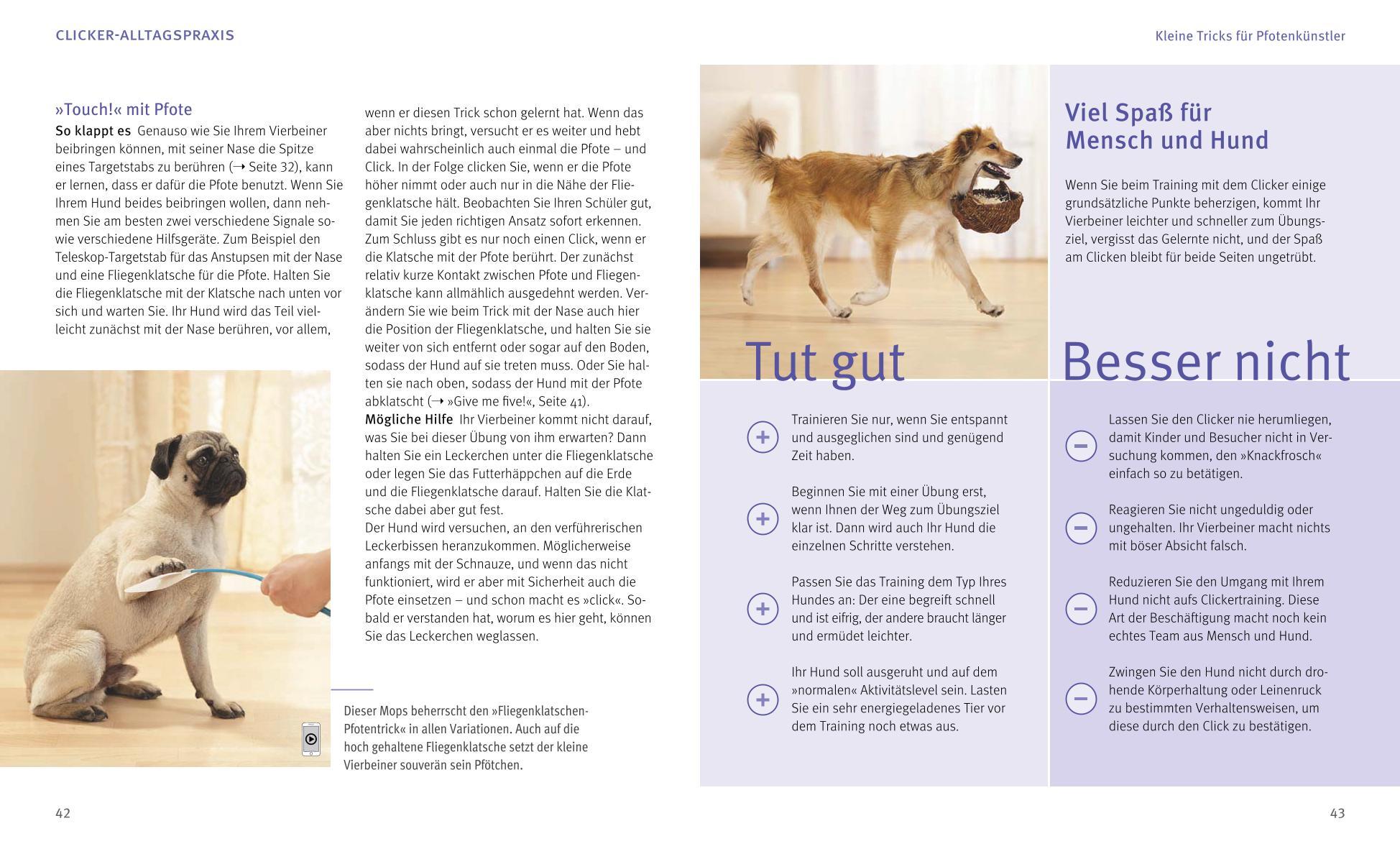 Beispielinhalt (Bild) Hunde-Clickertraining