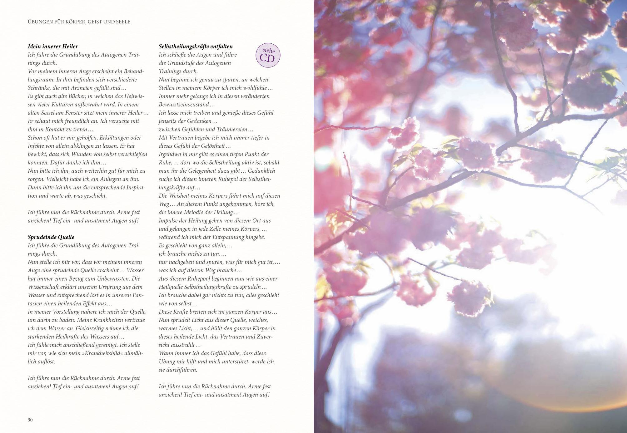 Beispielinhalt (Bild) Autogenes Training (mit CD)