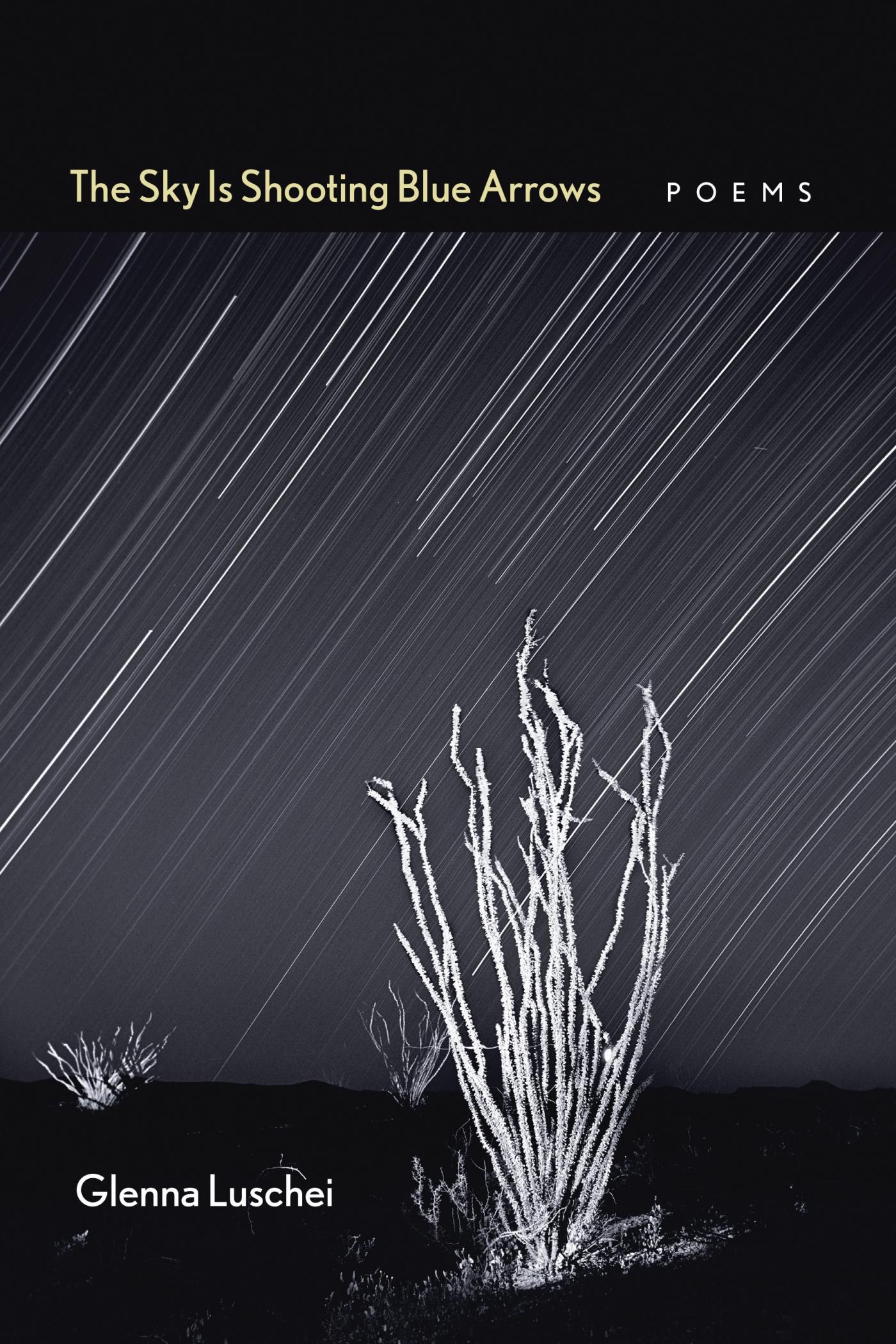 Vorderes Coverbild The Sky Is Shooting Blue Arrows