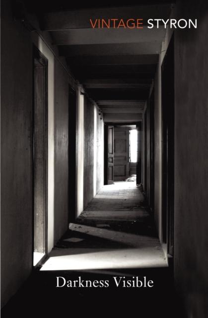 Vorderes Coverbild Darkness Visible