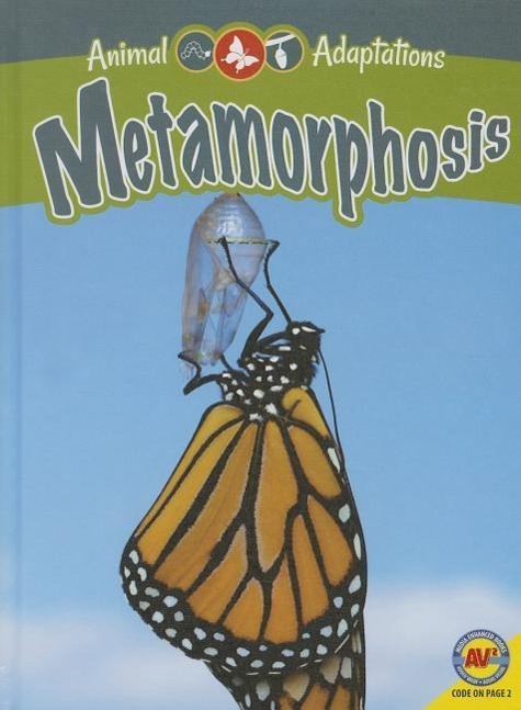Vorderes Coverbild Metamorphosis