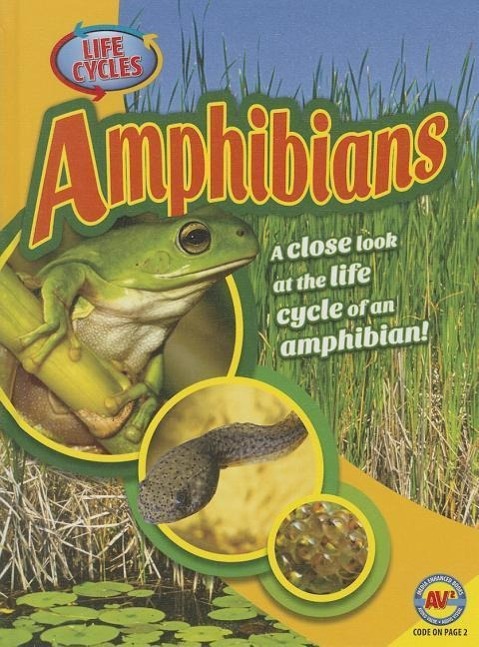 Vorderes Coverbild Amphibians