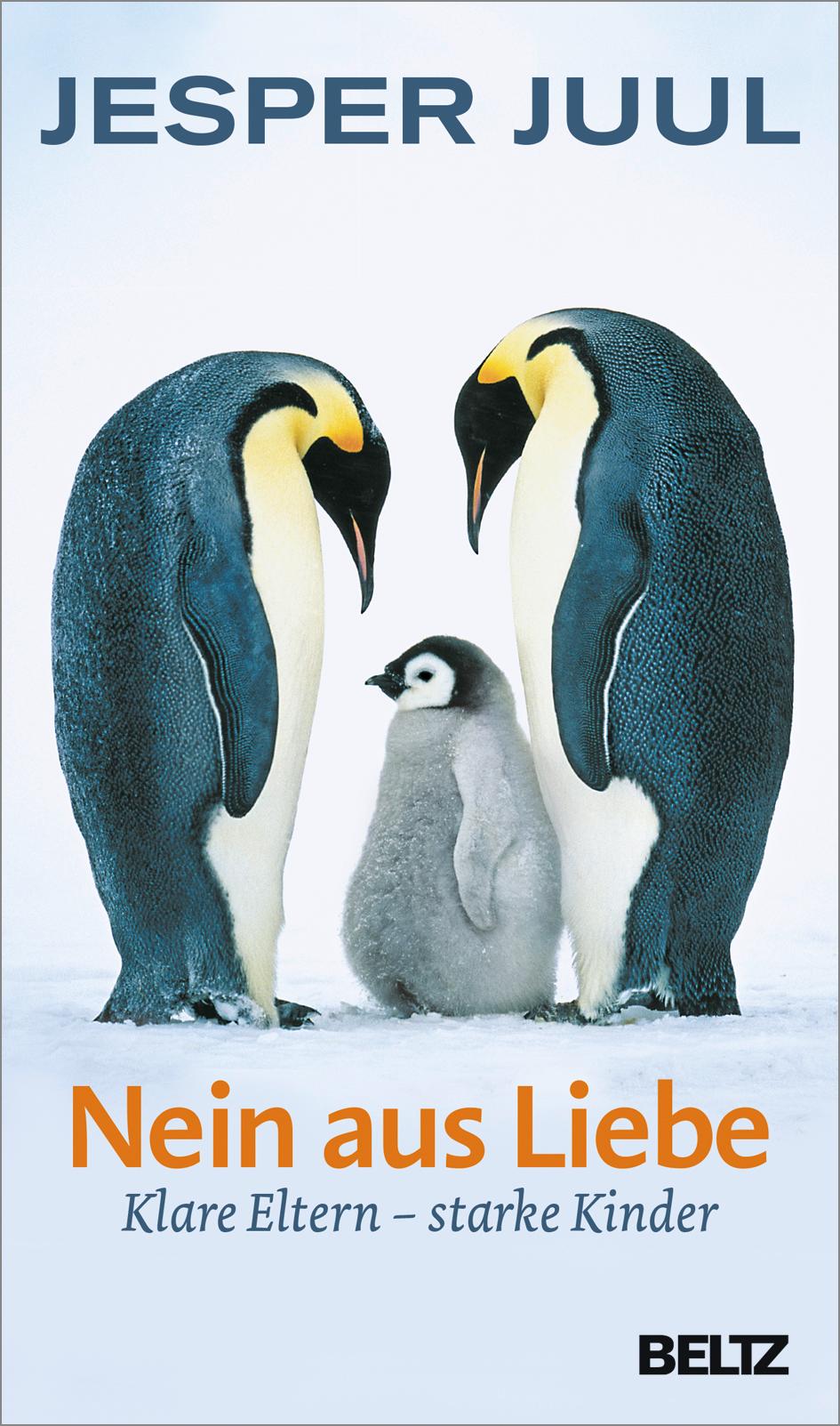 Vorderes Coverbild Nein aus Liebe