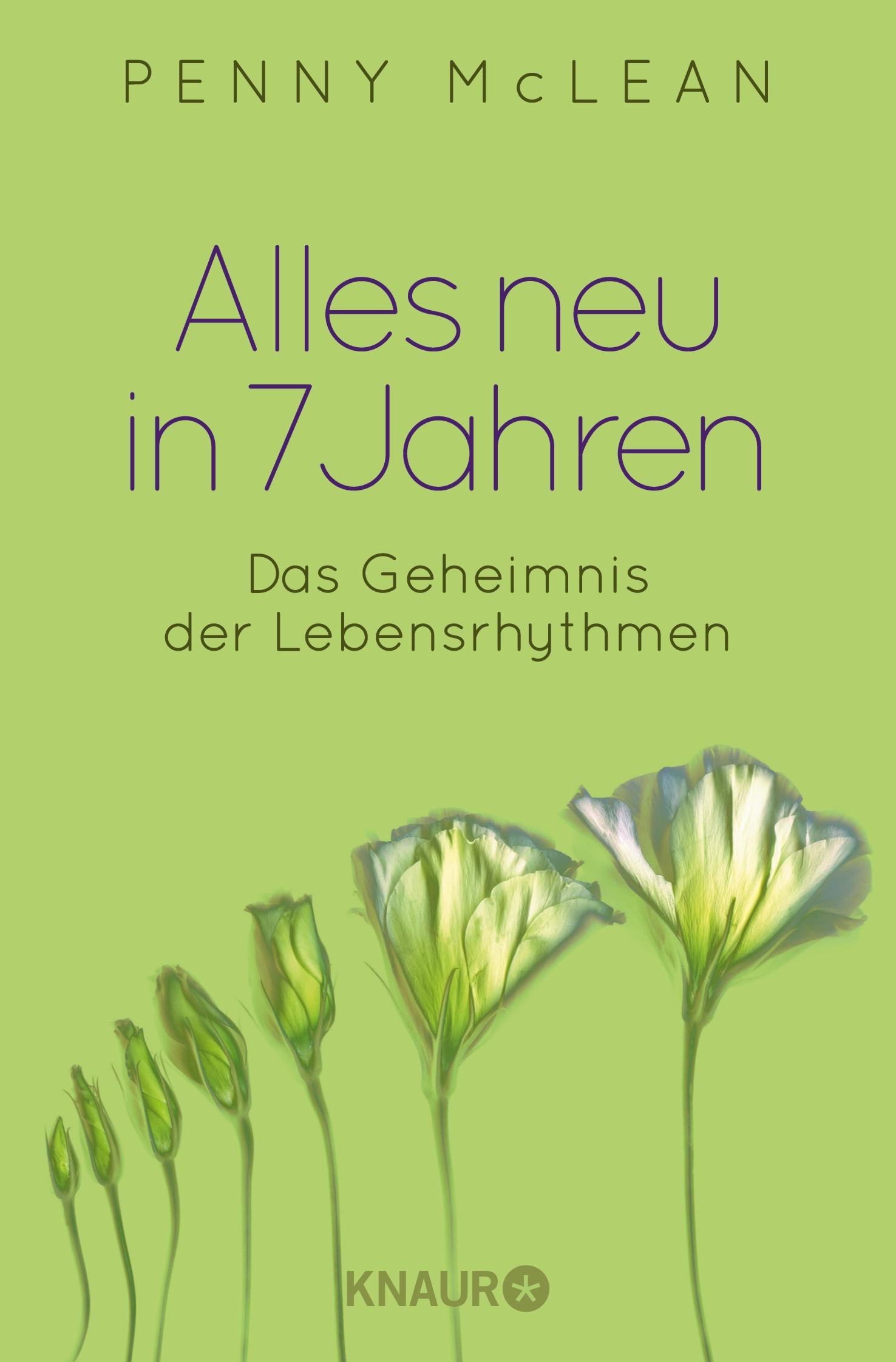 Vorderes Coverbild Alles neu in 7 Jahren