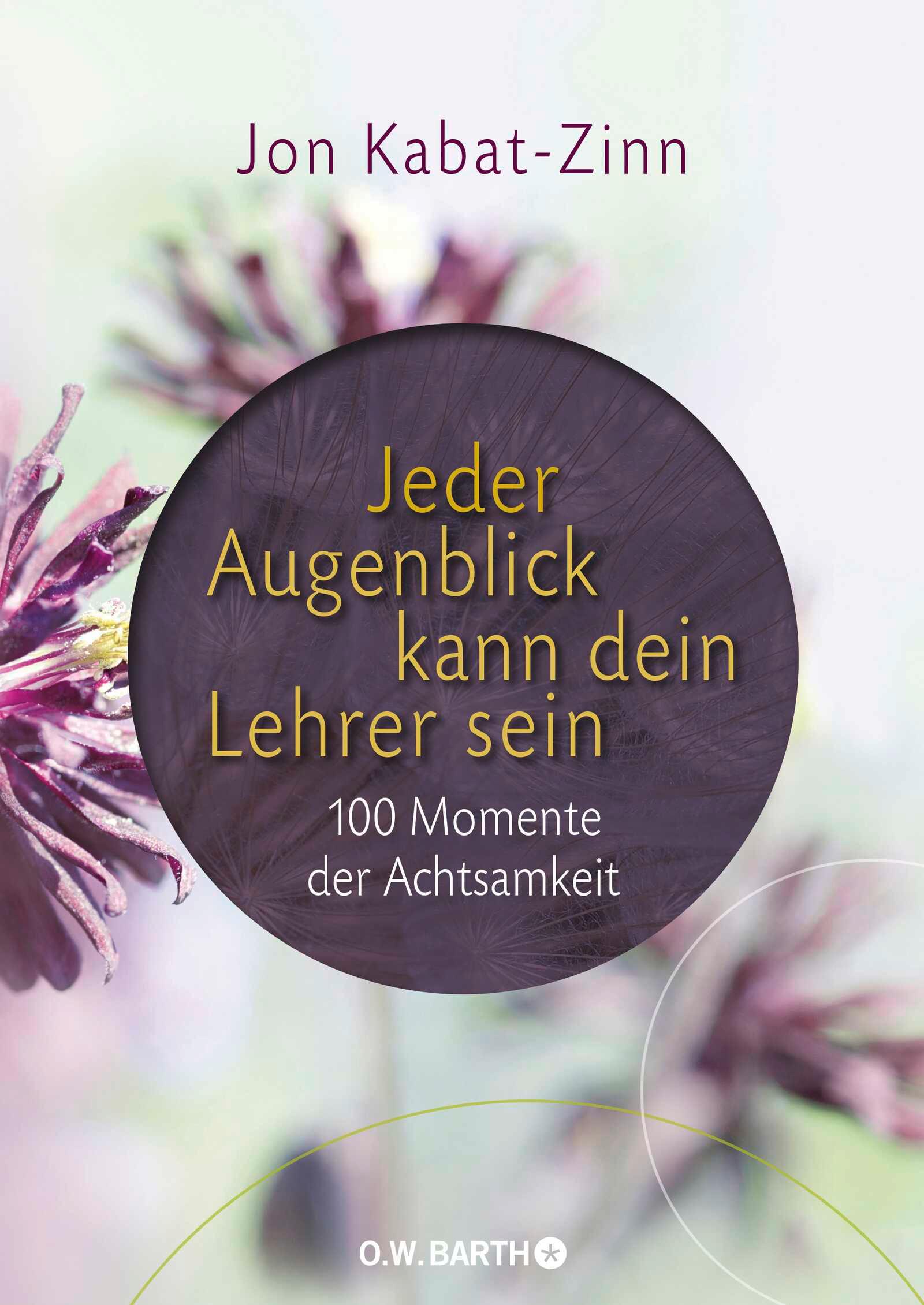 Vorderes Coverbild Jeder Augenblick kann dein Lehrer sein