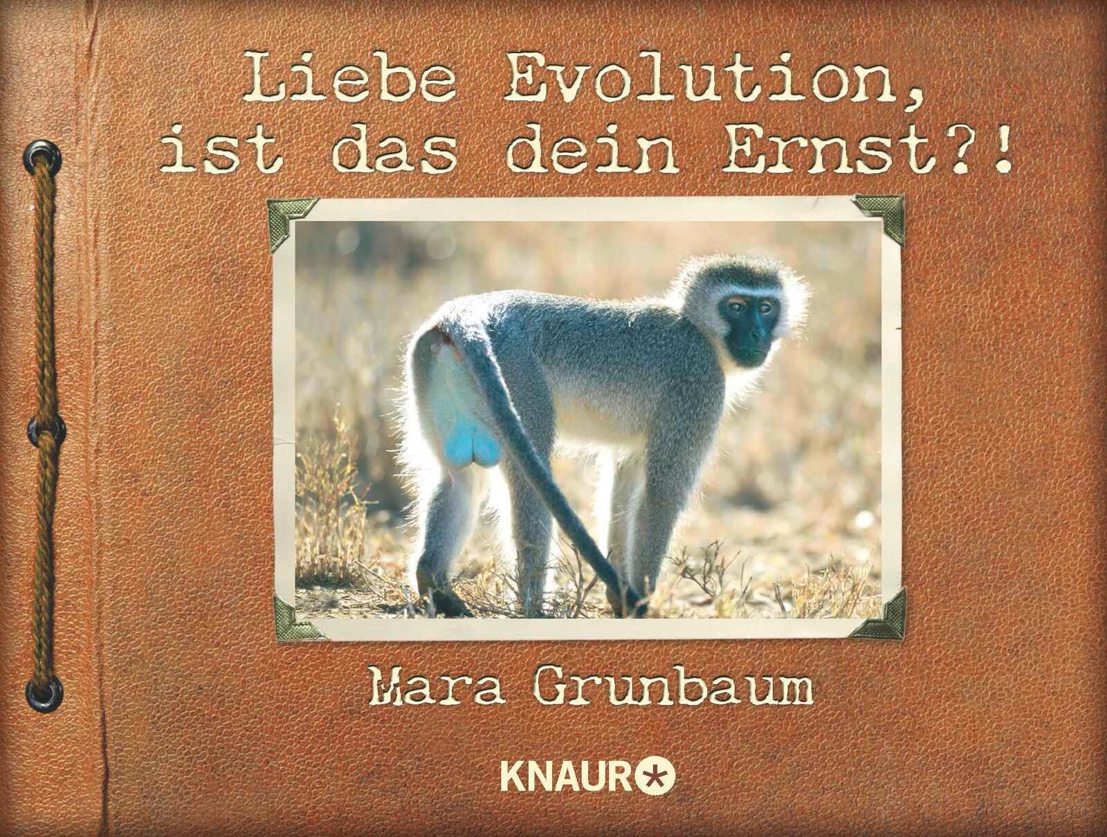 Vorderes Coverbild Liebe Evolution, ist das dein Ernst?!