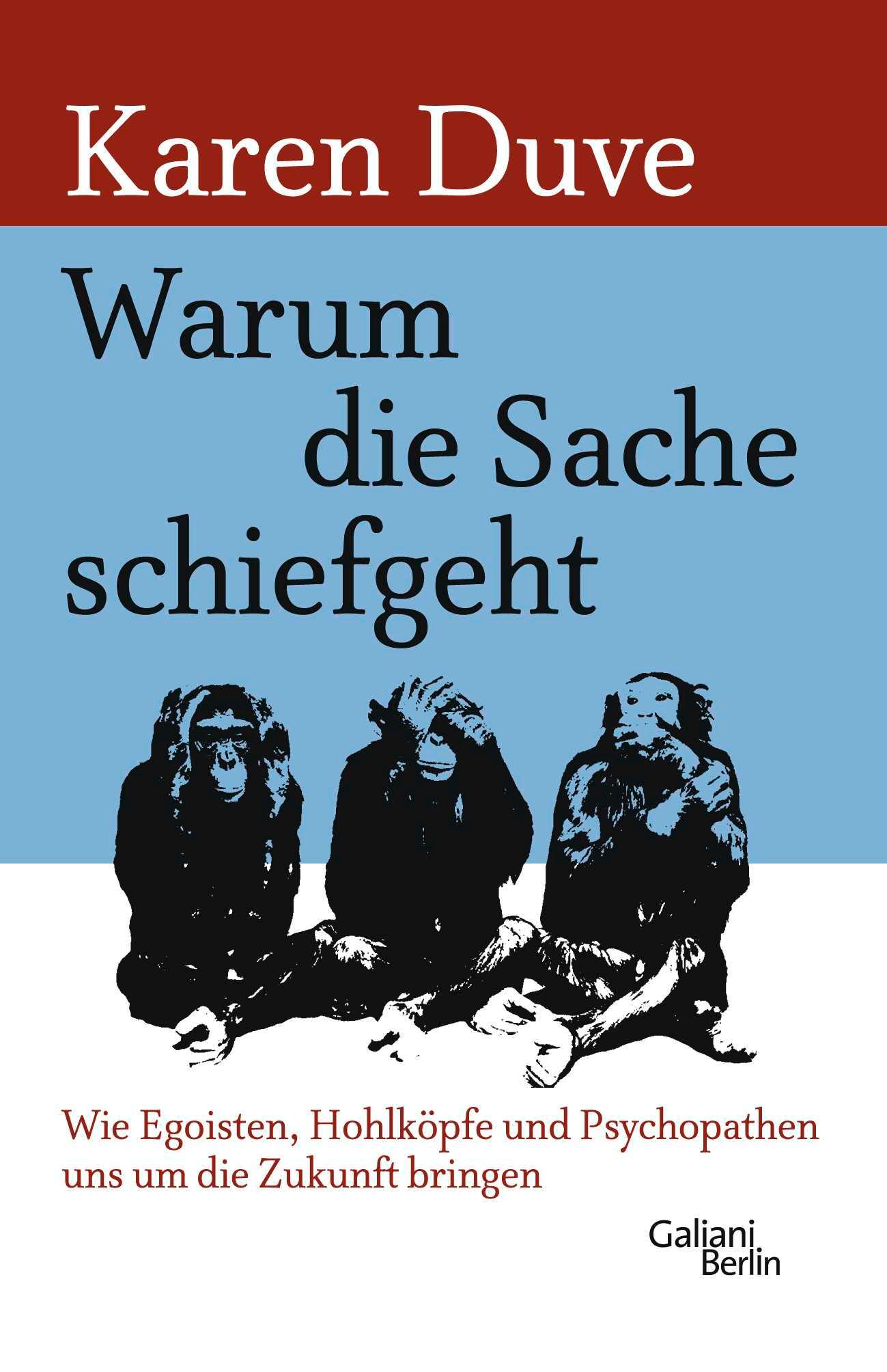 Vorderes Coverbild Warum die Sache schiefgeht