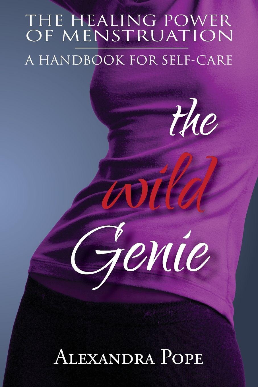 Vorderes Coverbild The Wild Genie