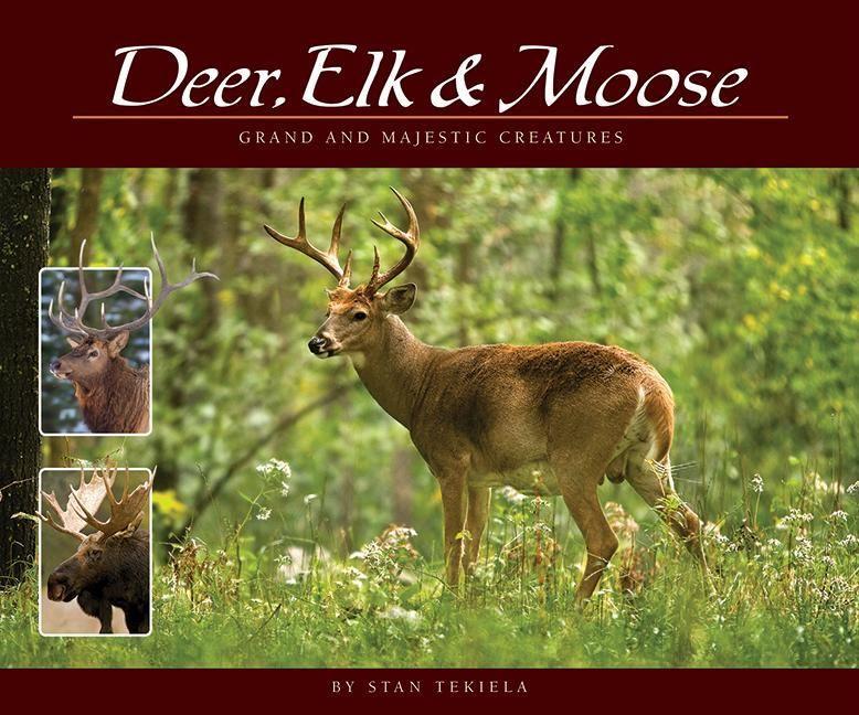 Vorderes Coverbild Deer, Elk & Moose