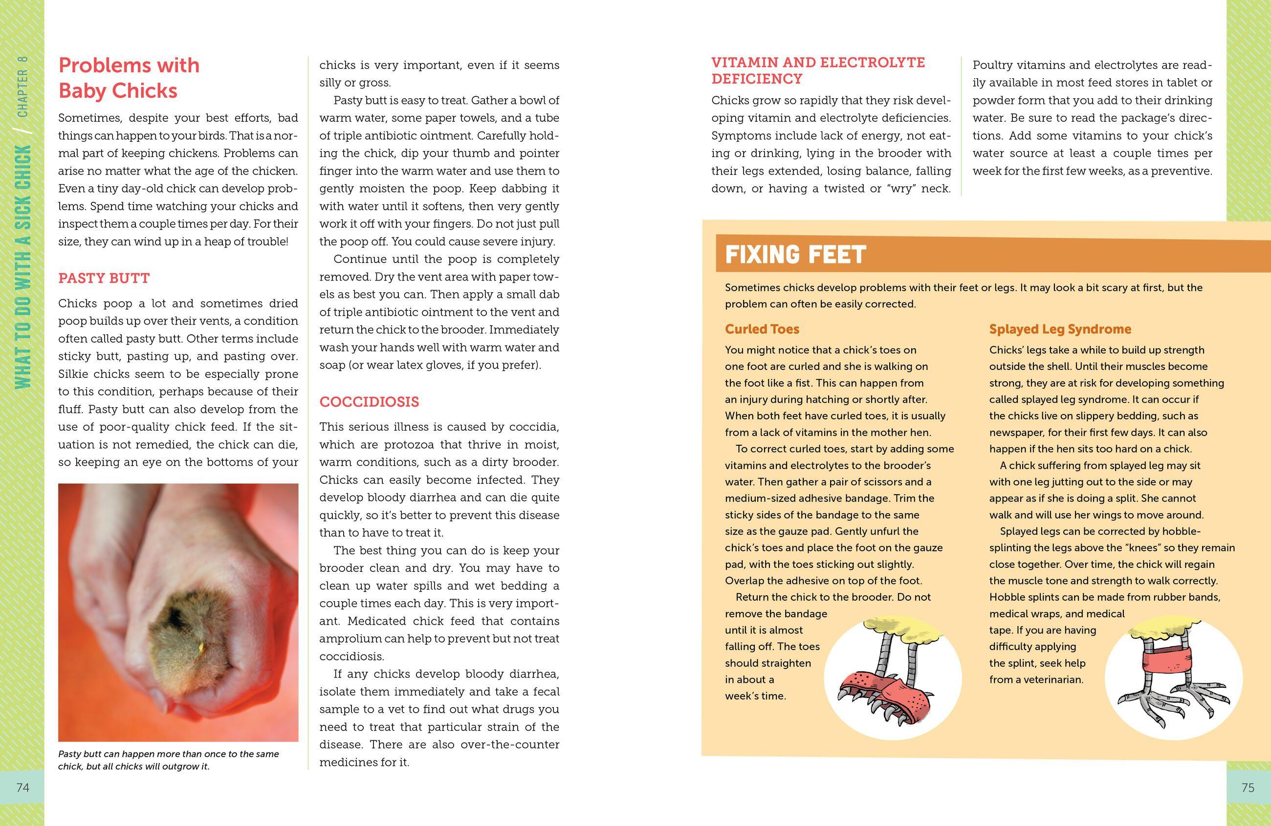 Beispielinhalt (Bild) A Kid's Guide to Keeping Chickens