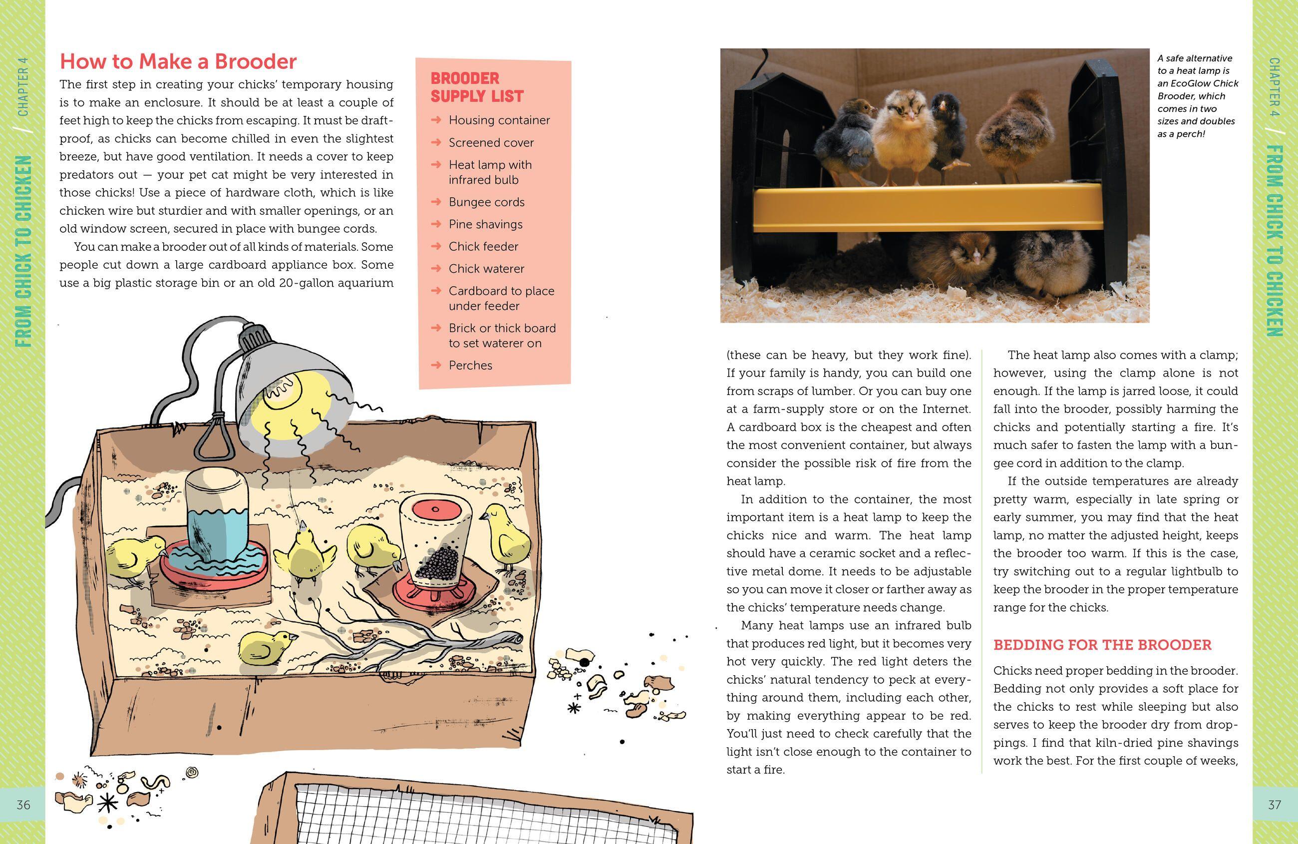 Beispielinhalt (Bild) A Kid's Guide to Keeping Chickens