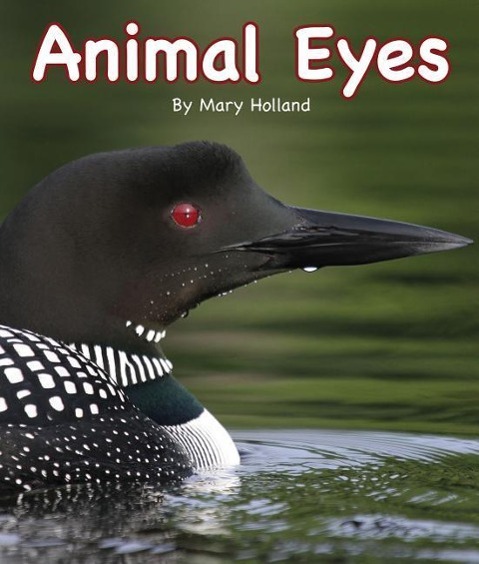 Vorderes Coverbild Animal Eyes