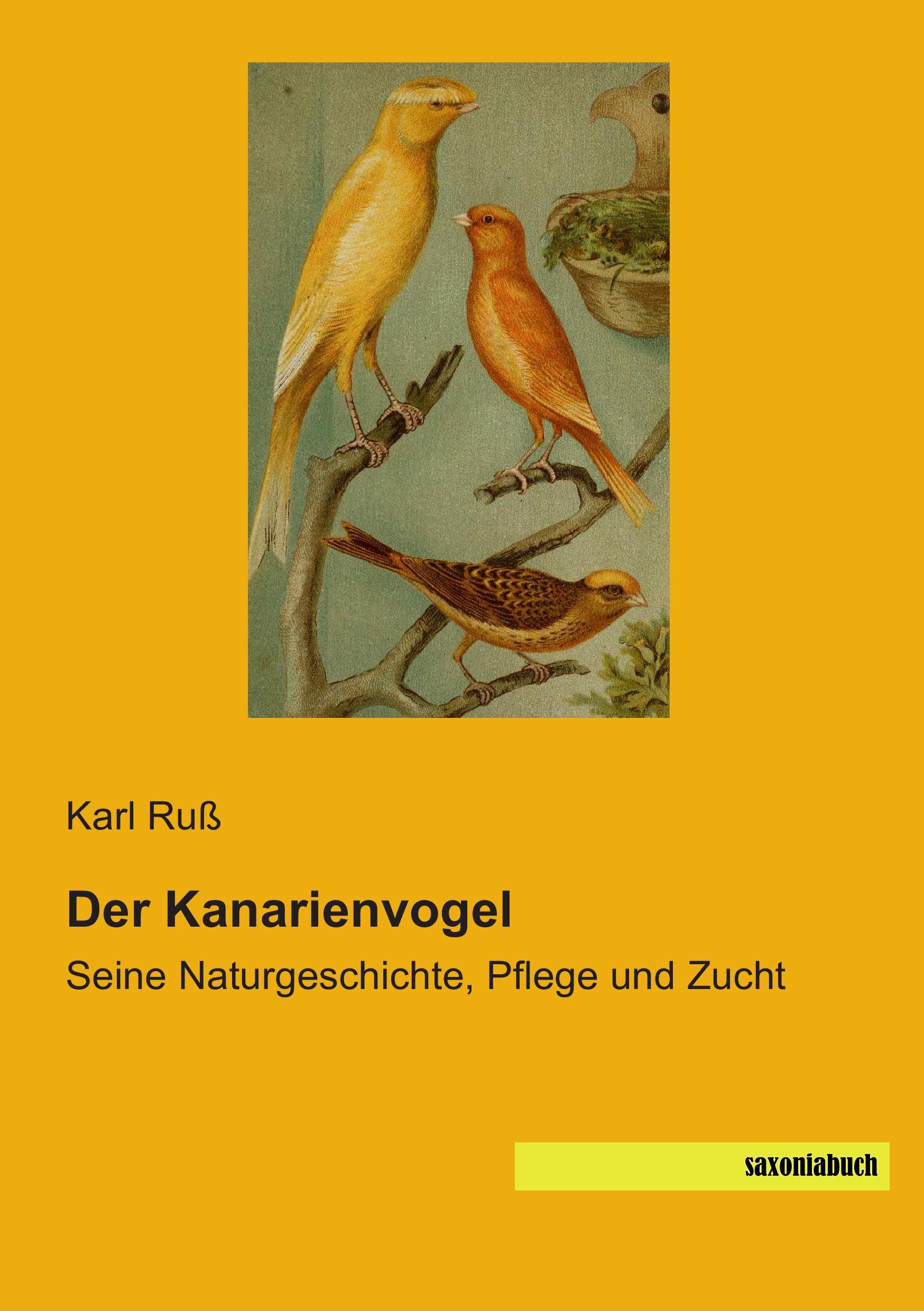 Vorderes Coverbild Der Kanarienvogel