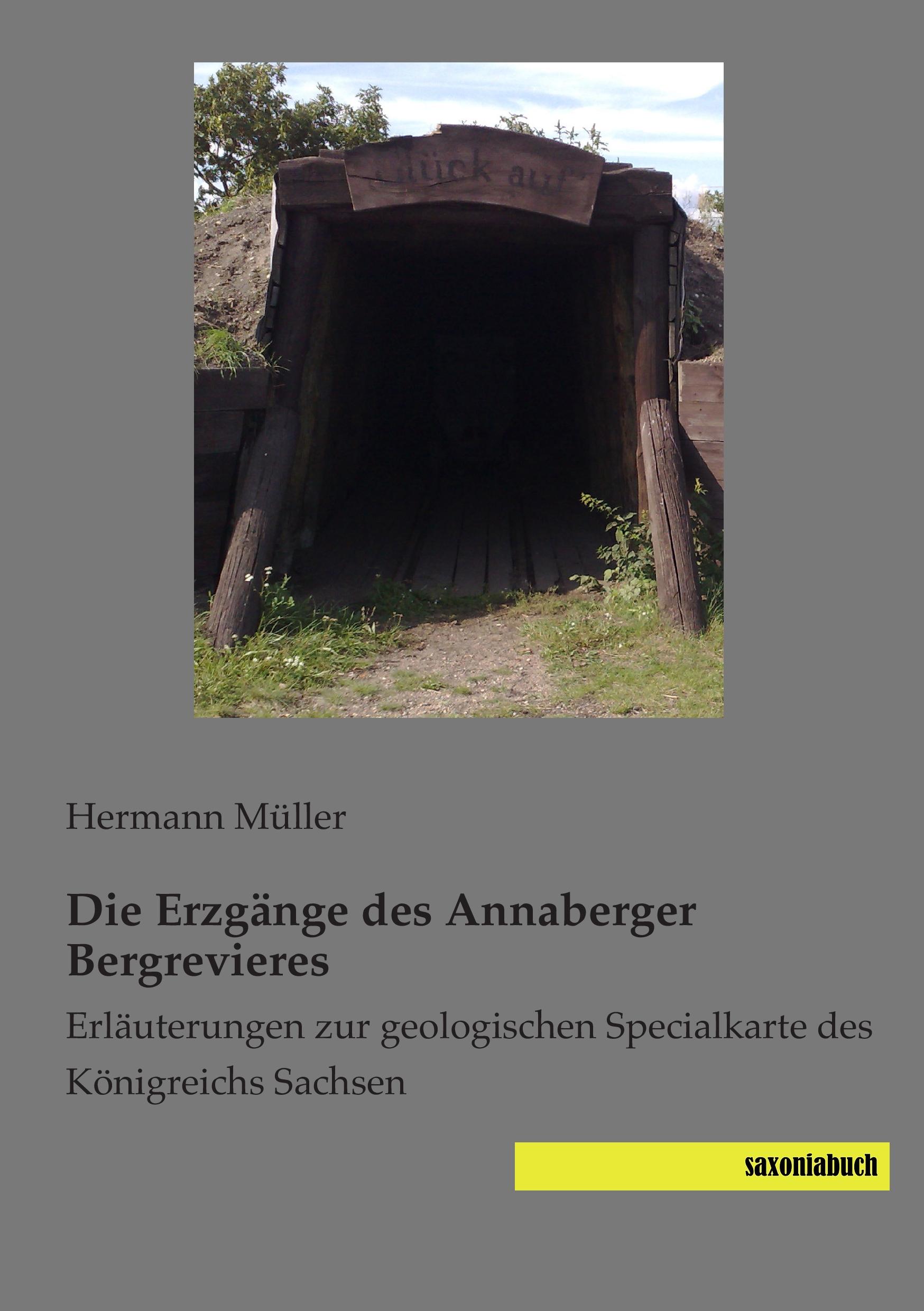 Vorderes Coverbild Die Erzgänge des Annaberger Bergrevieres
