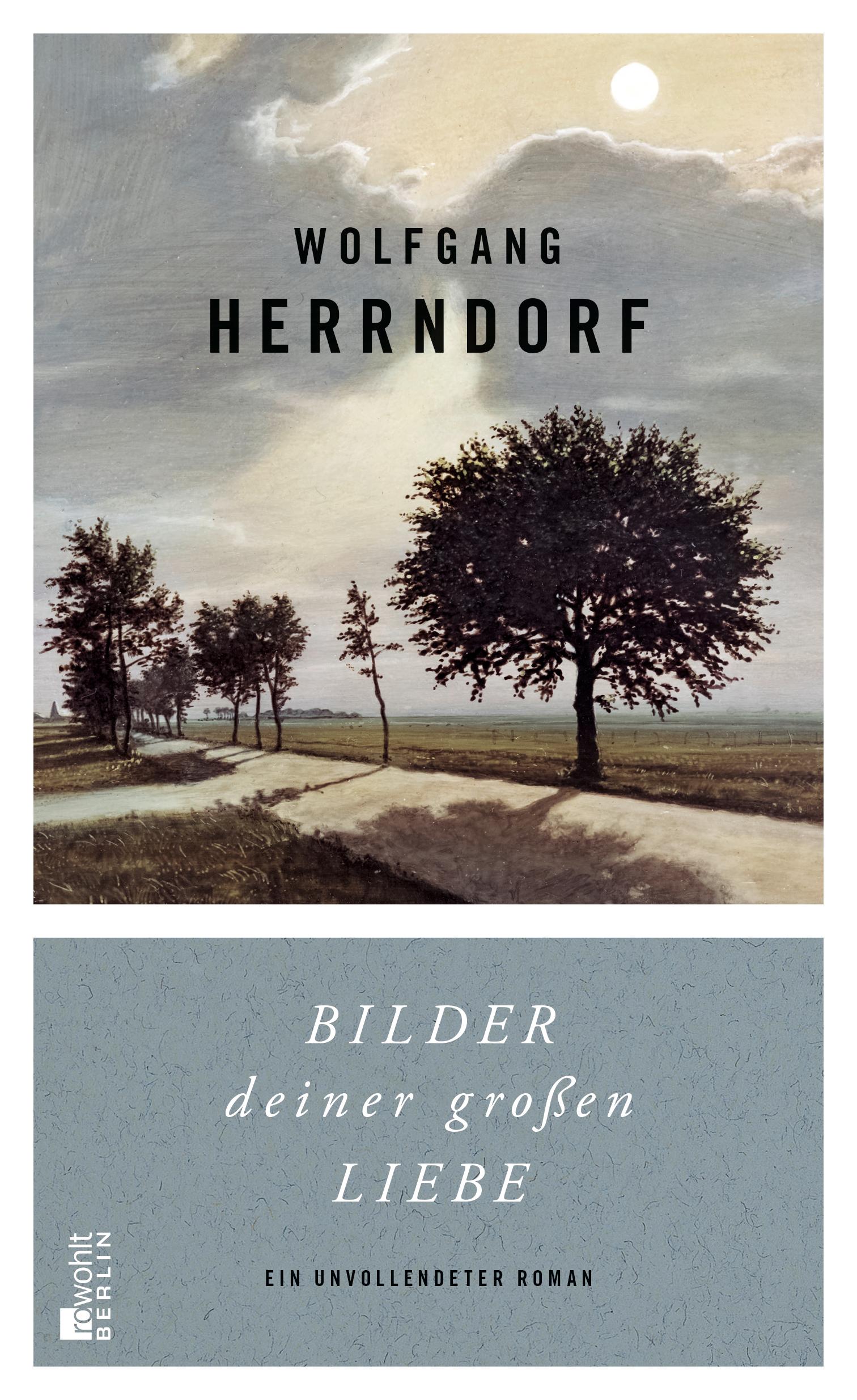 Vorderes Coverbild Bilder deiner großen Liebe