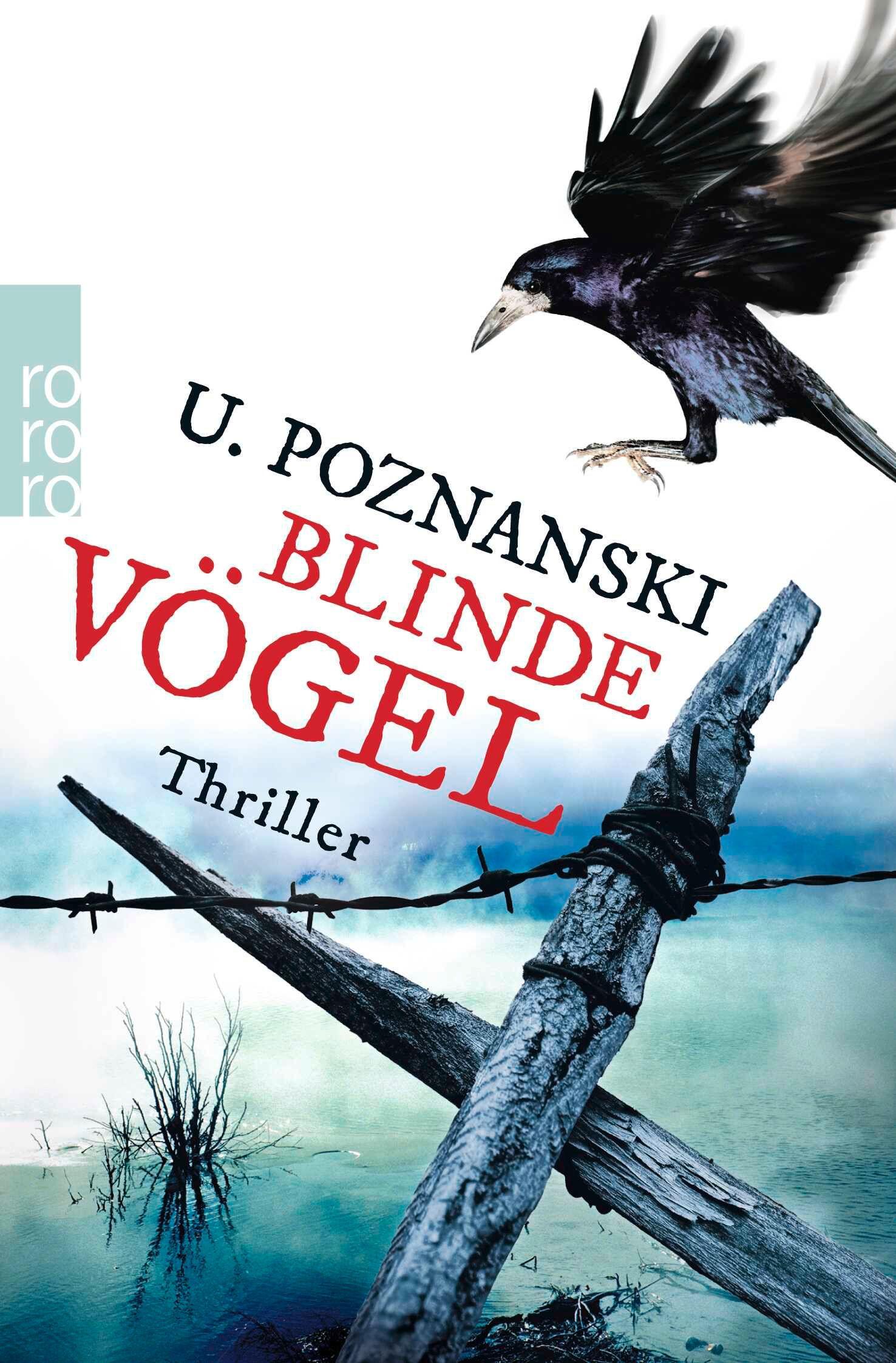 Vorderes Coverbild Blinde Vögel