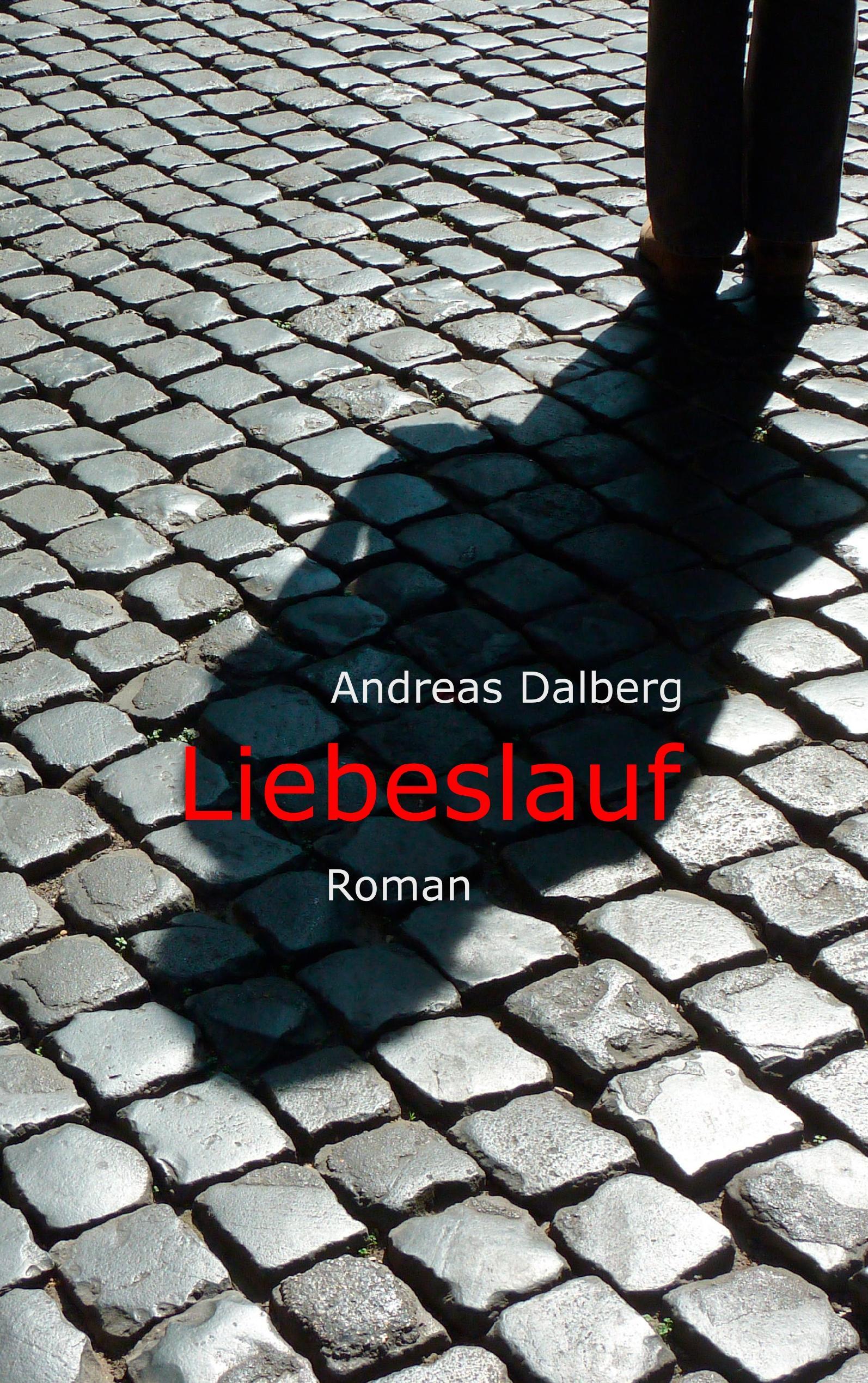 Vorderes Coverbild Liebeslauf
