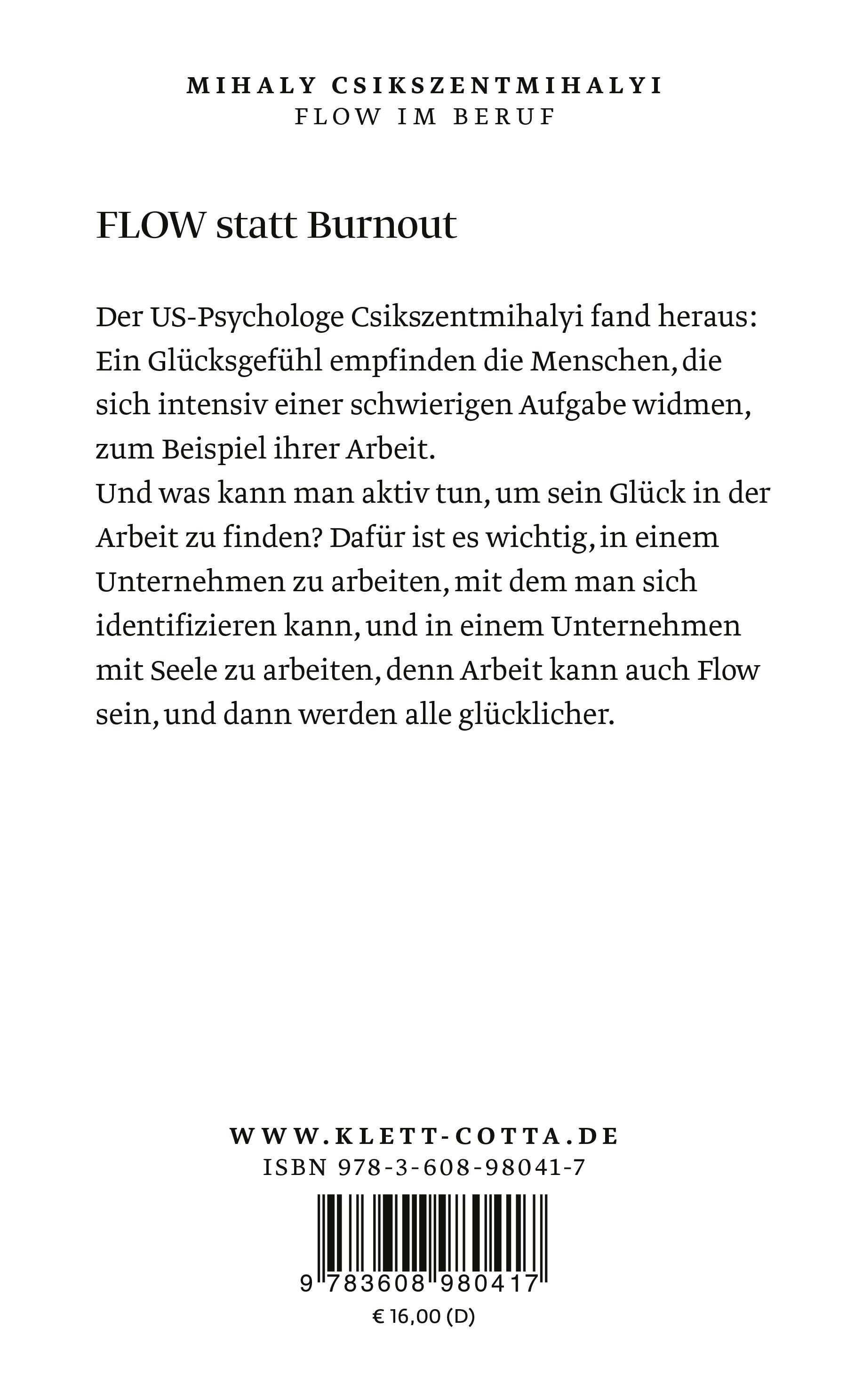 Rückseitencover Flow im Beruf