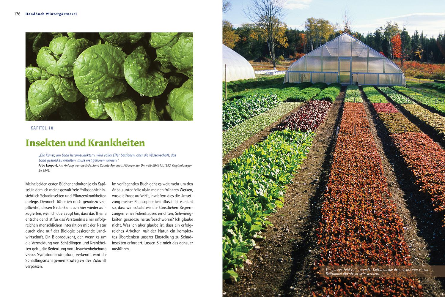 Beispielinhalt (Bild) Handbuch Wintergärtnerei