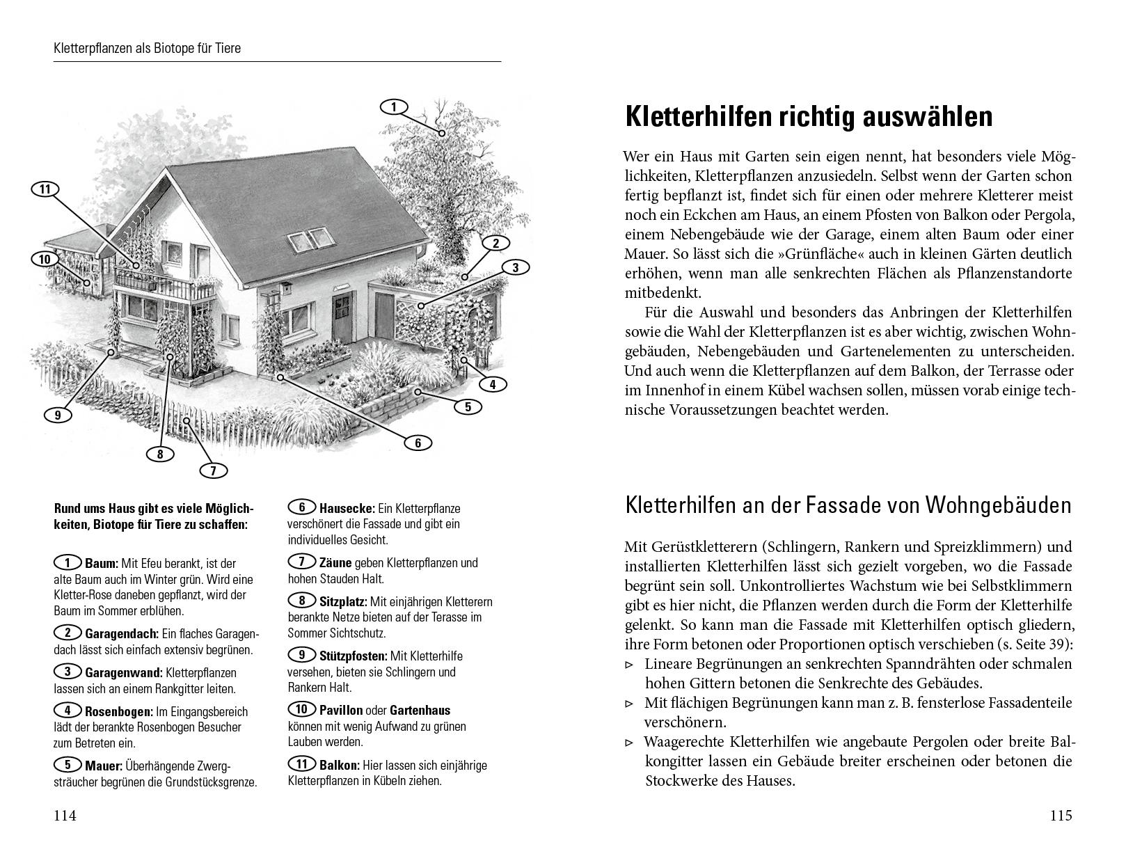 Beispielinhalt (Bild) Grüne Wände für Haus und Garten