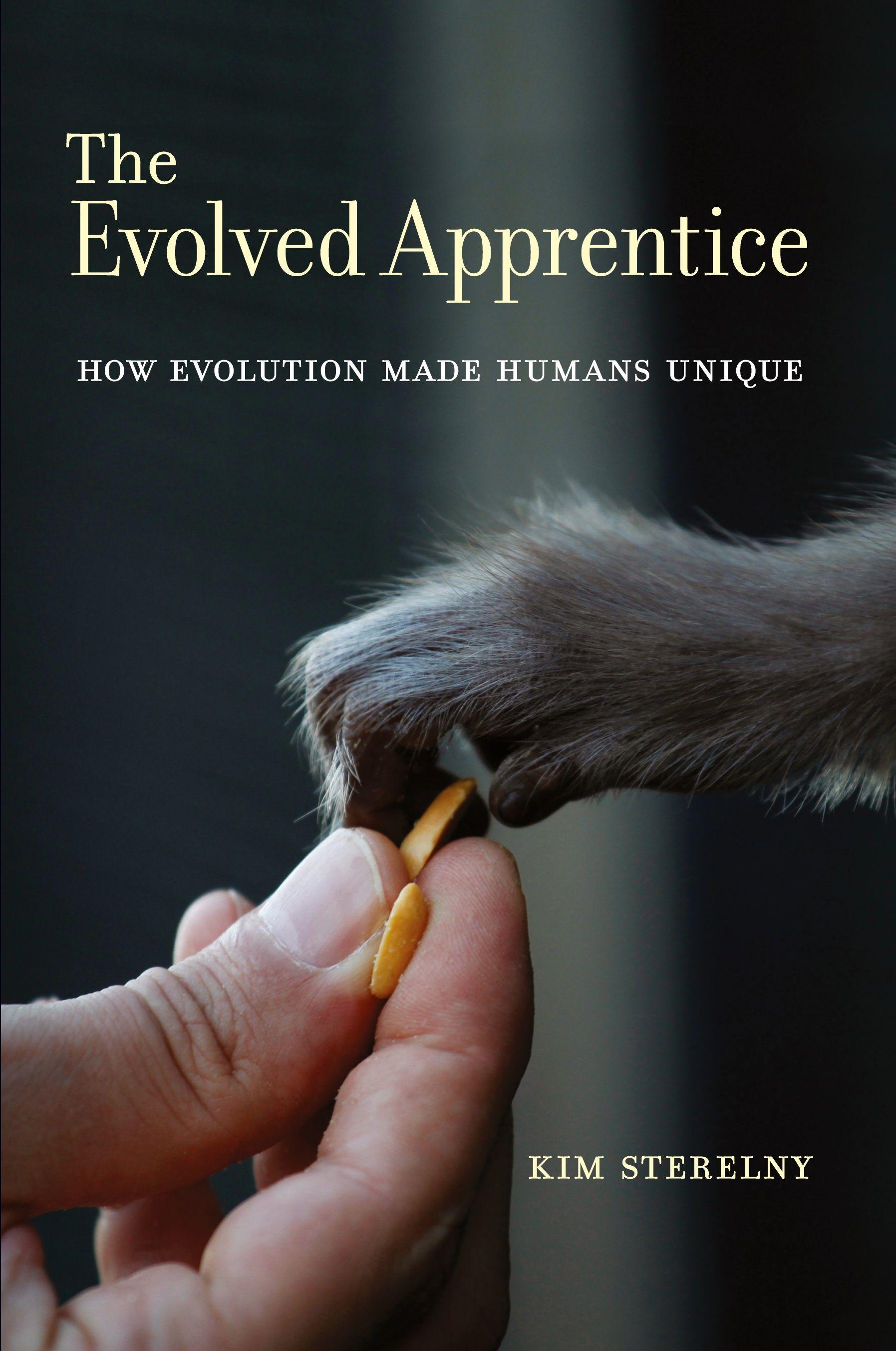 Vorderes Coverbild The Evolved Apprentice
